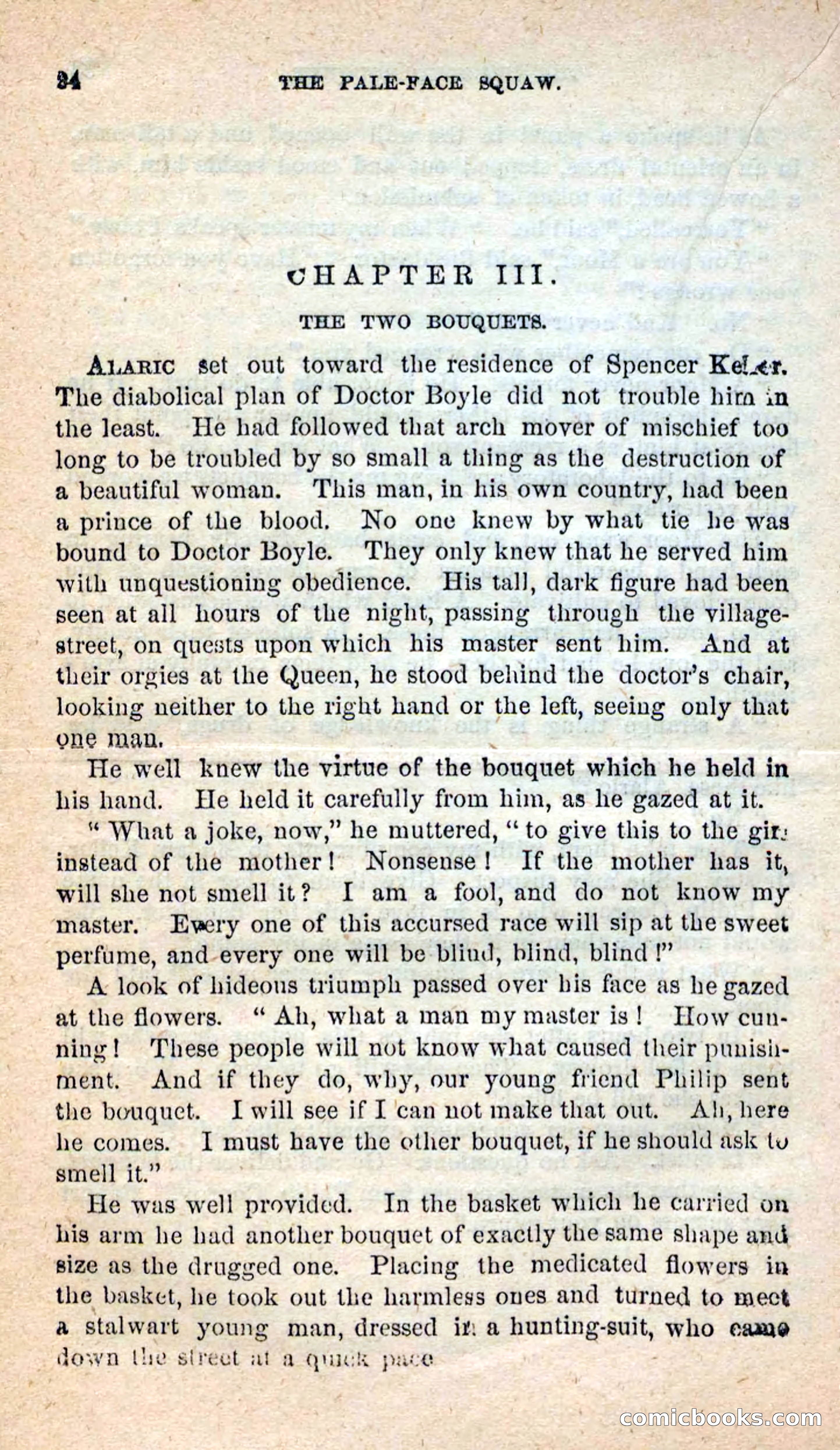 The Pale-Face Squaw — page 20 of 100