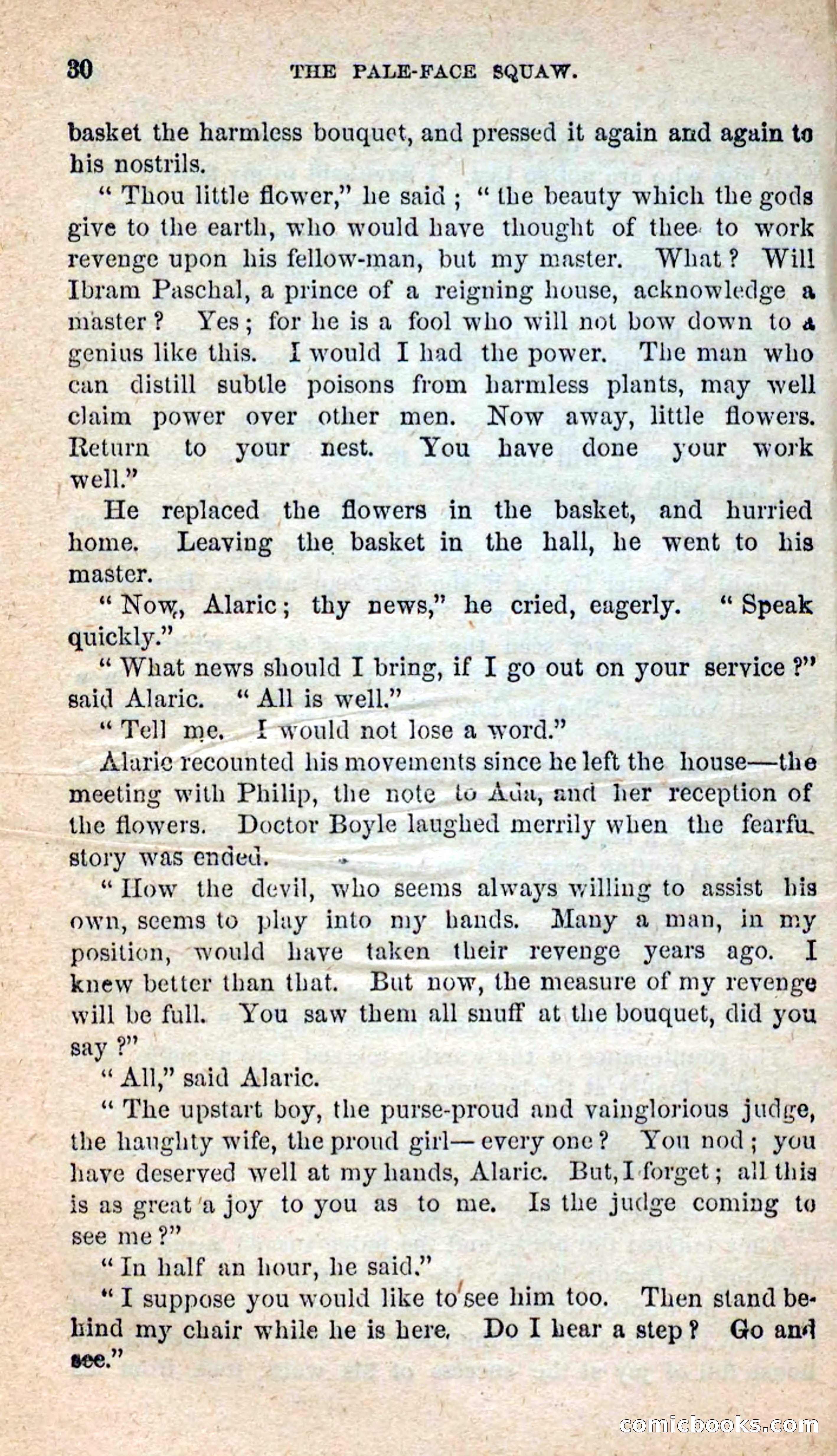 The Pale-Face Squaw — page 26 of 100