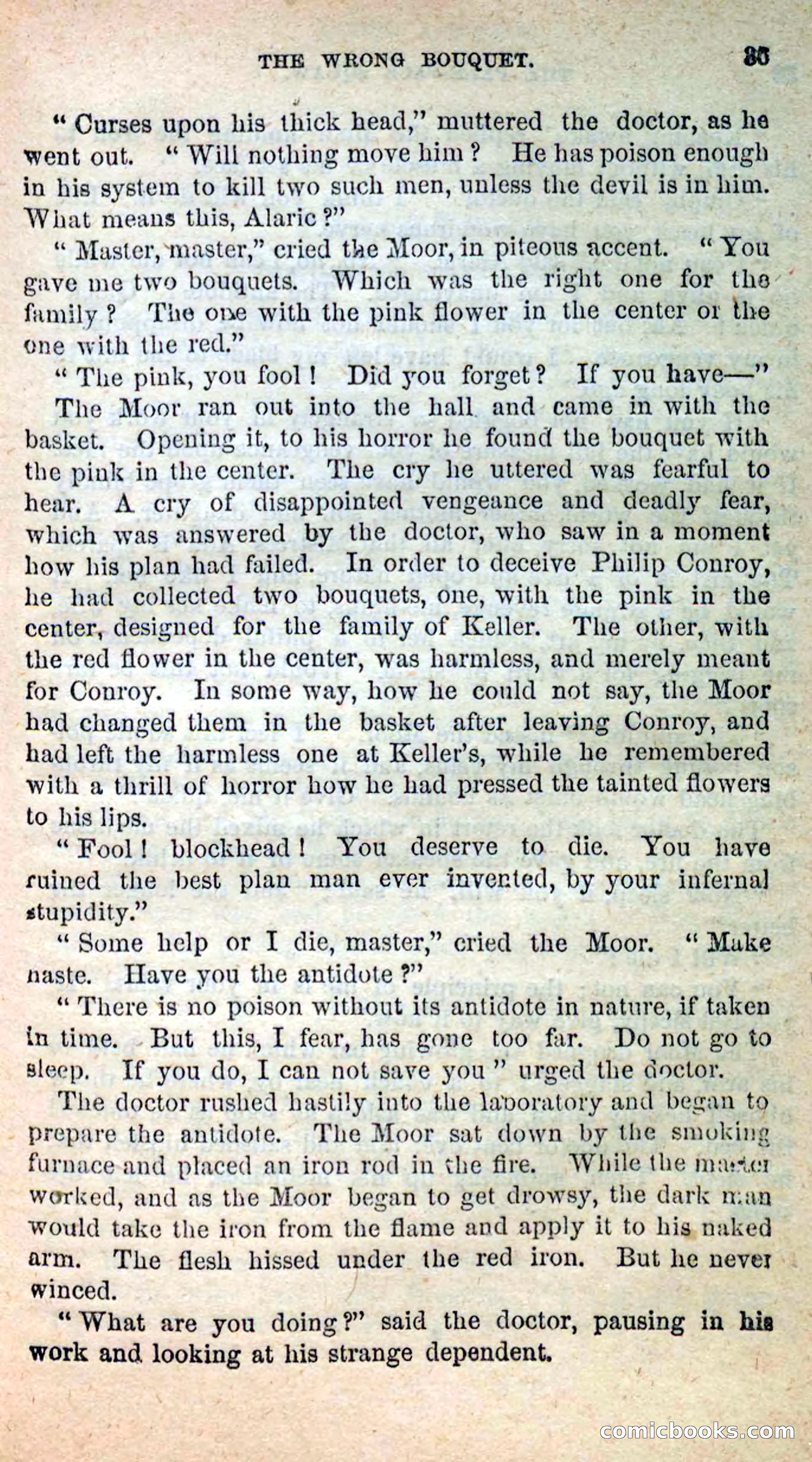 The Pale-Face Squaw — page 31 of 100