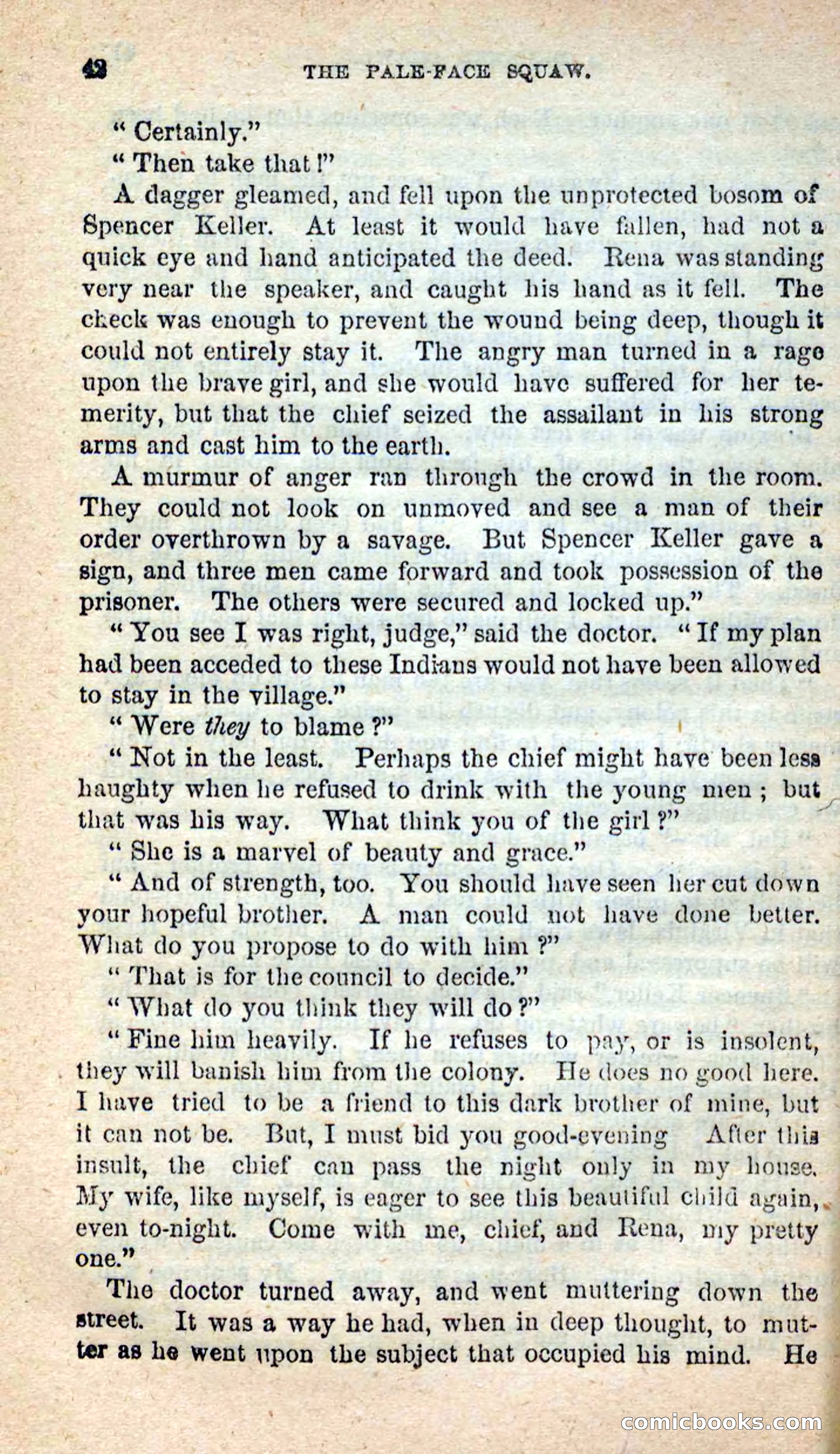 The Pale-Face Squaw — page 38 of 100