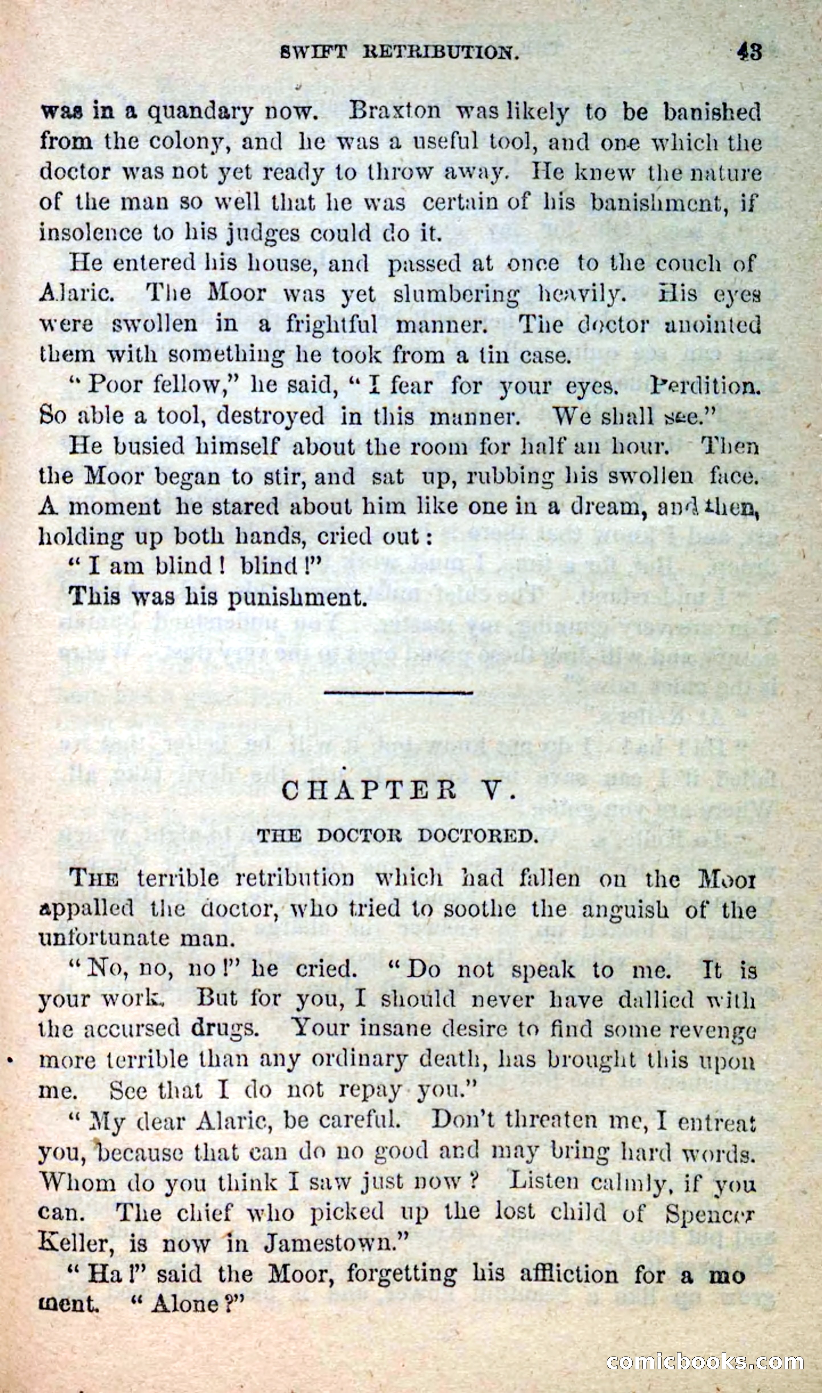 The Pale-Face Squaw — page 39 of 100