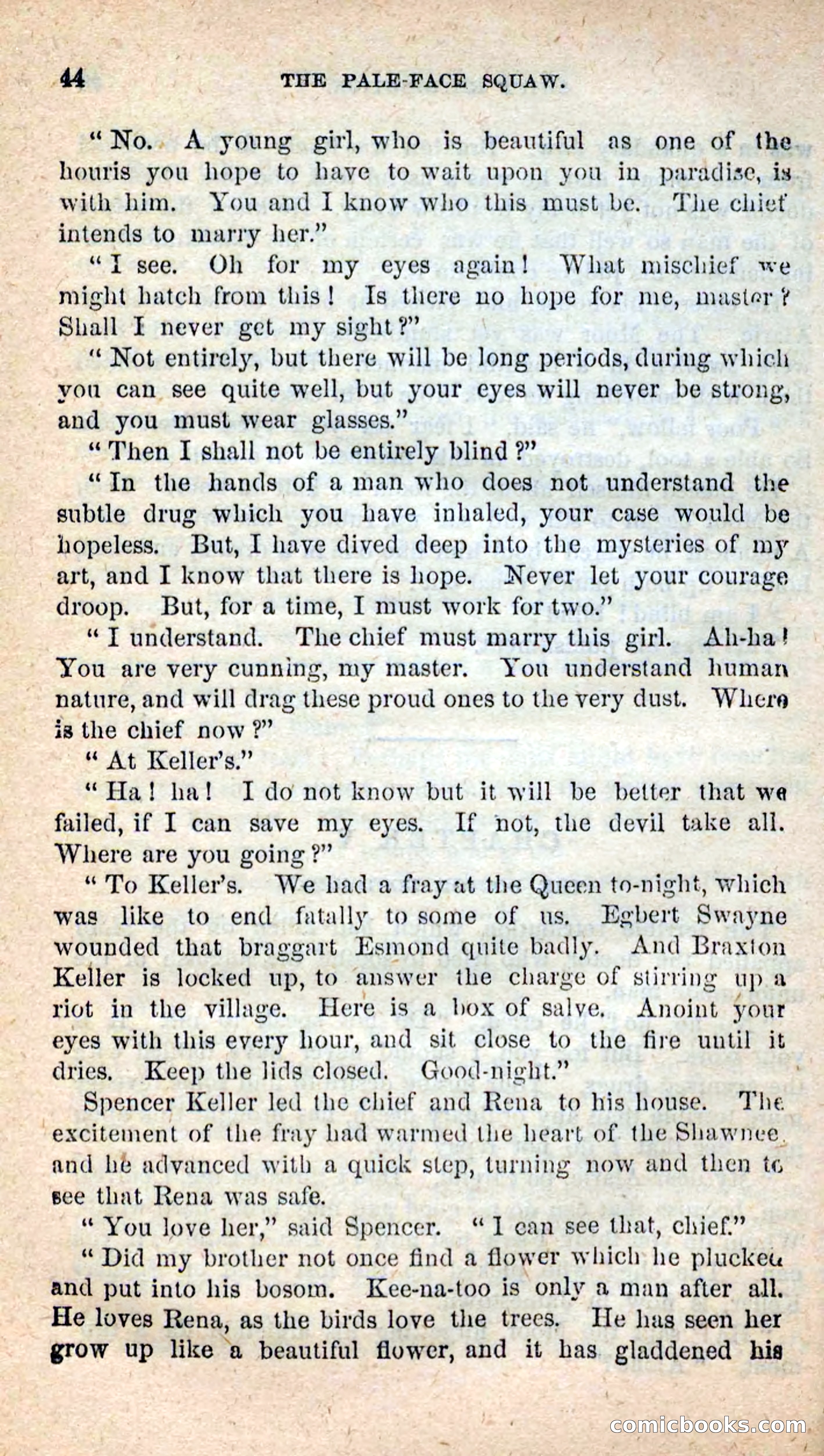 The Pale-Face Squaw — page 40 of 100