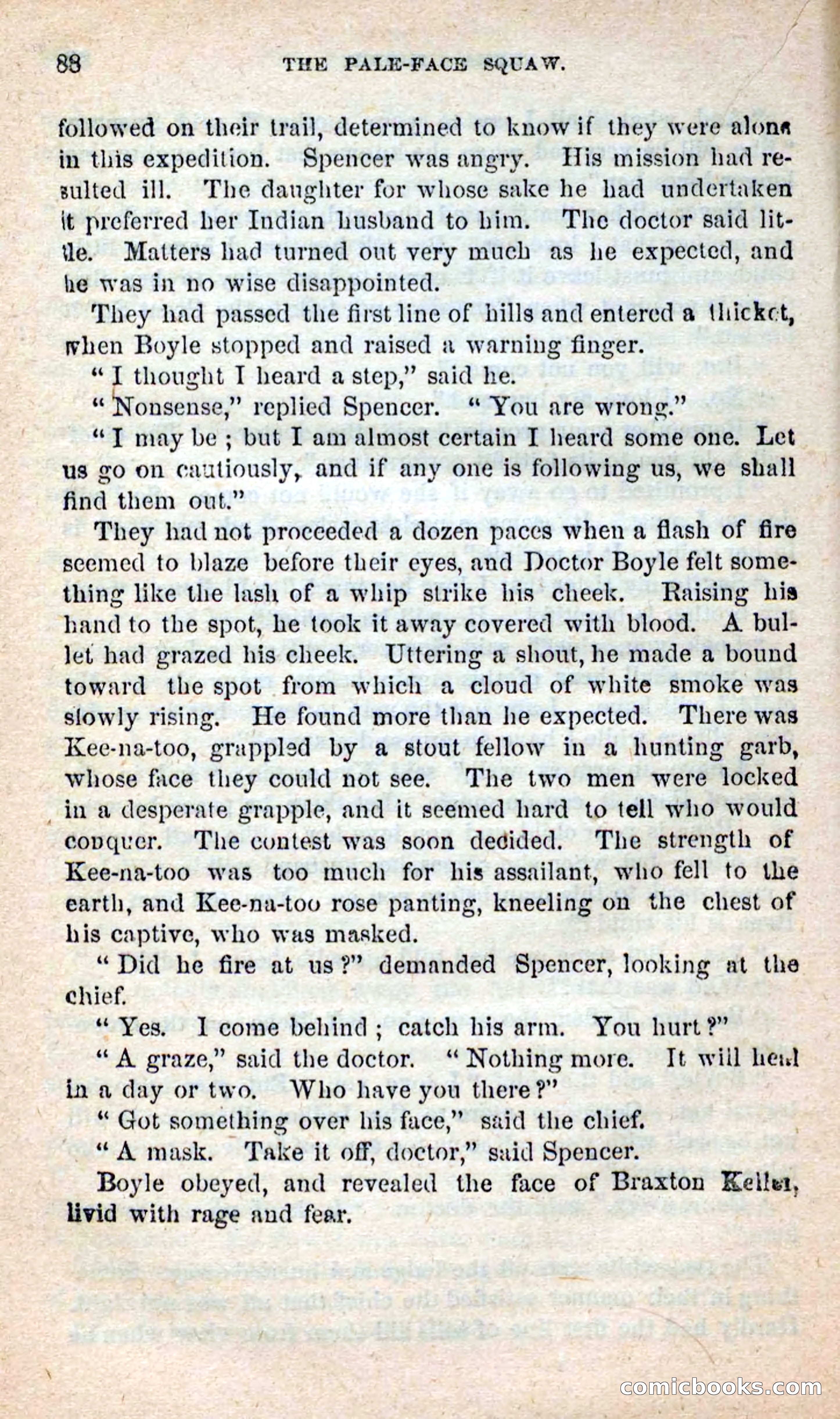 The Pale-Face Squaw — page 84 of 100