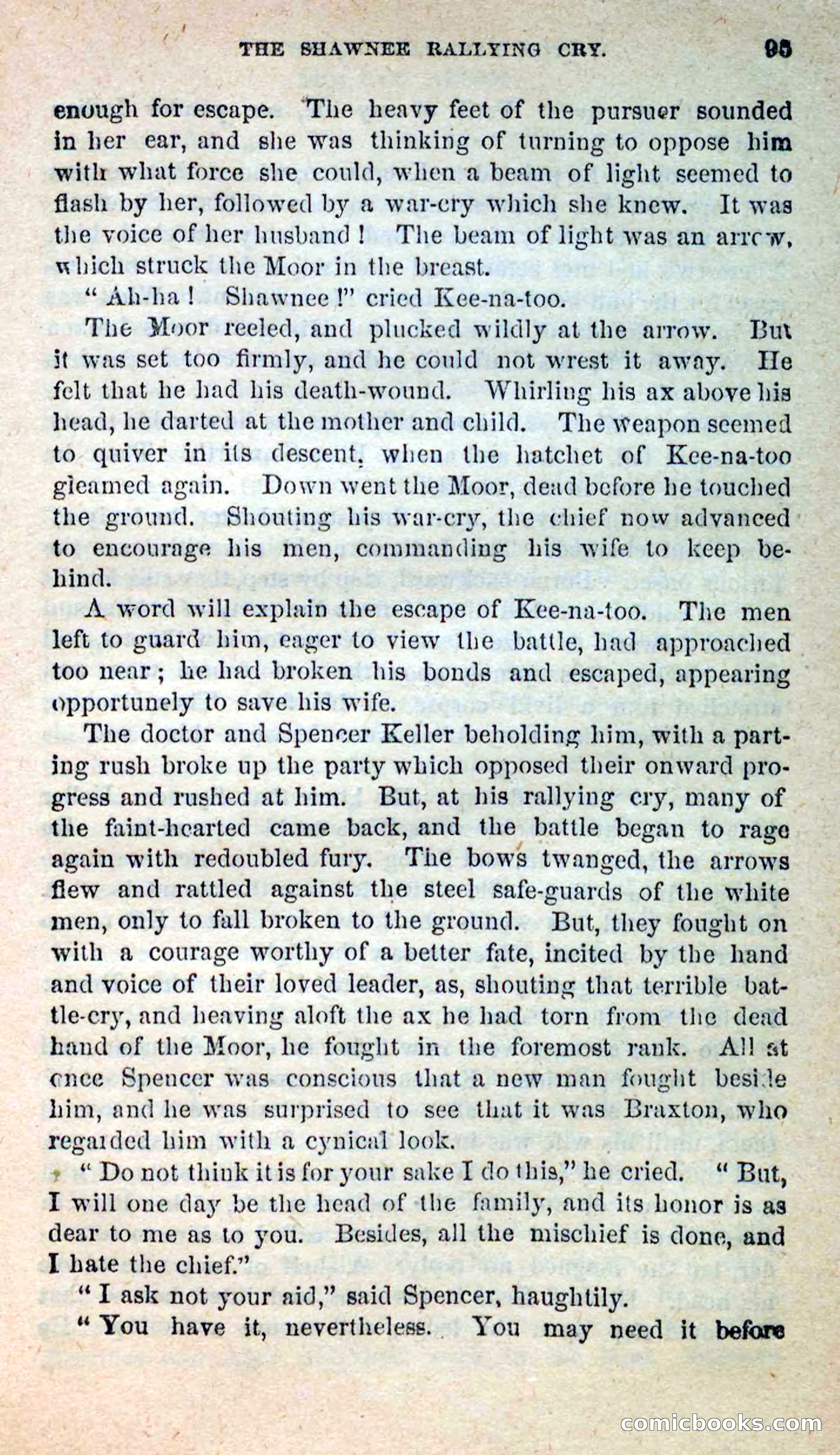 The Pale-Face Squaw — page 91 of 100
