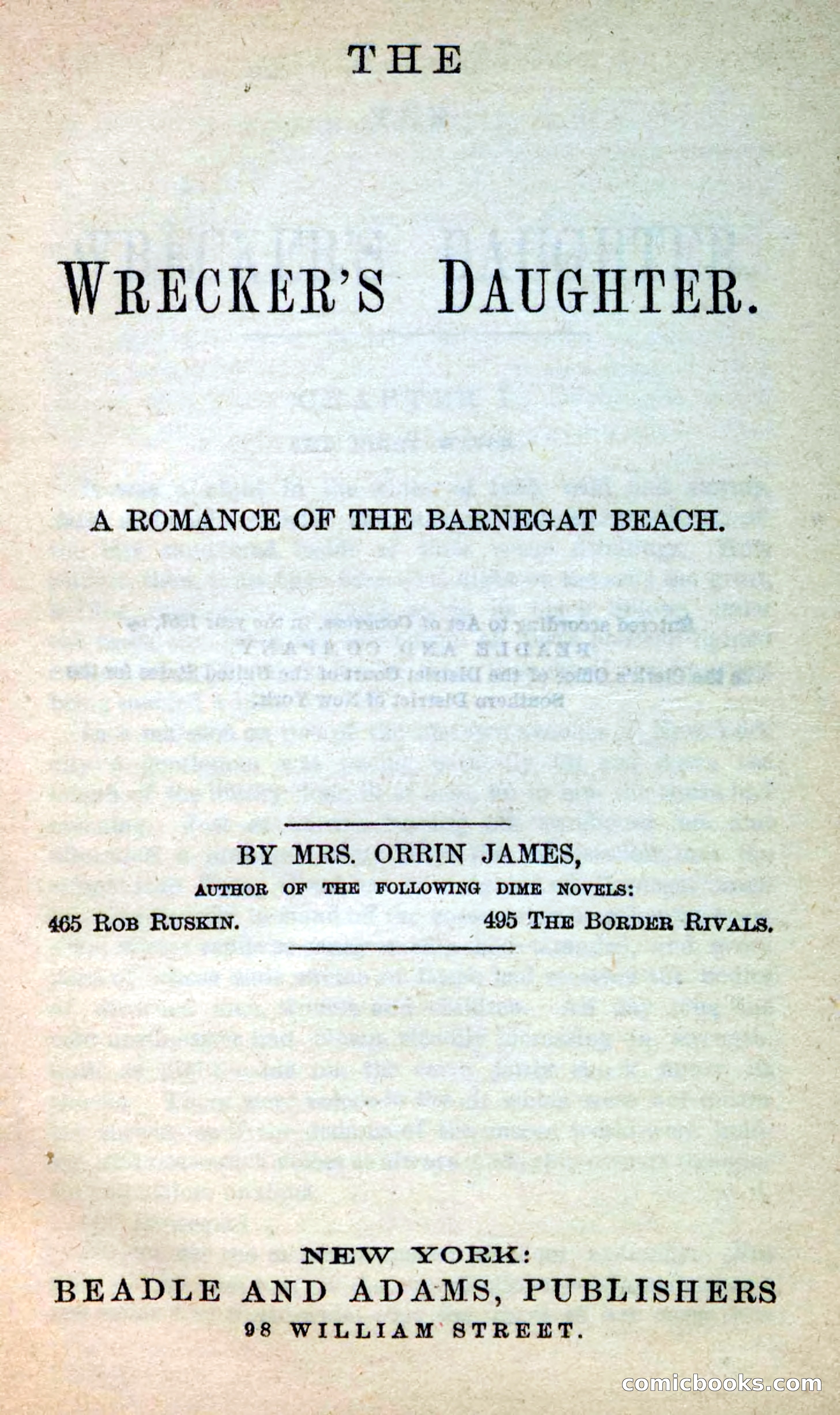 The Wrecker's Daughter — page 3 of 100