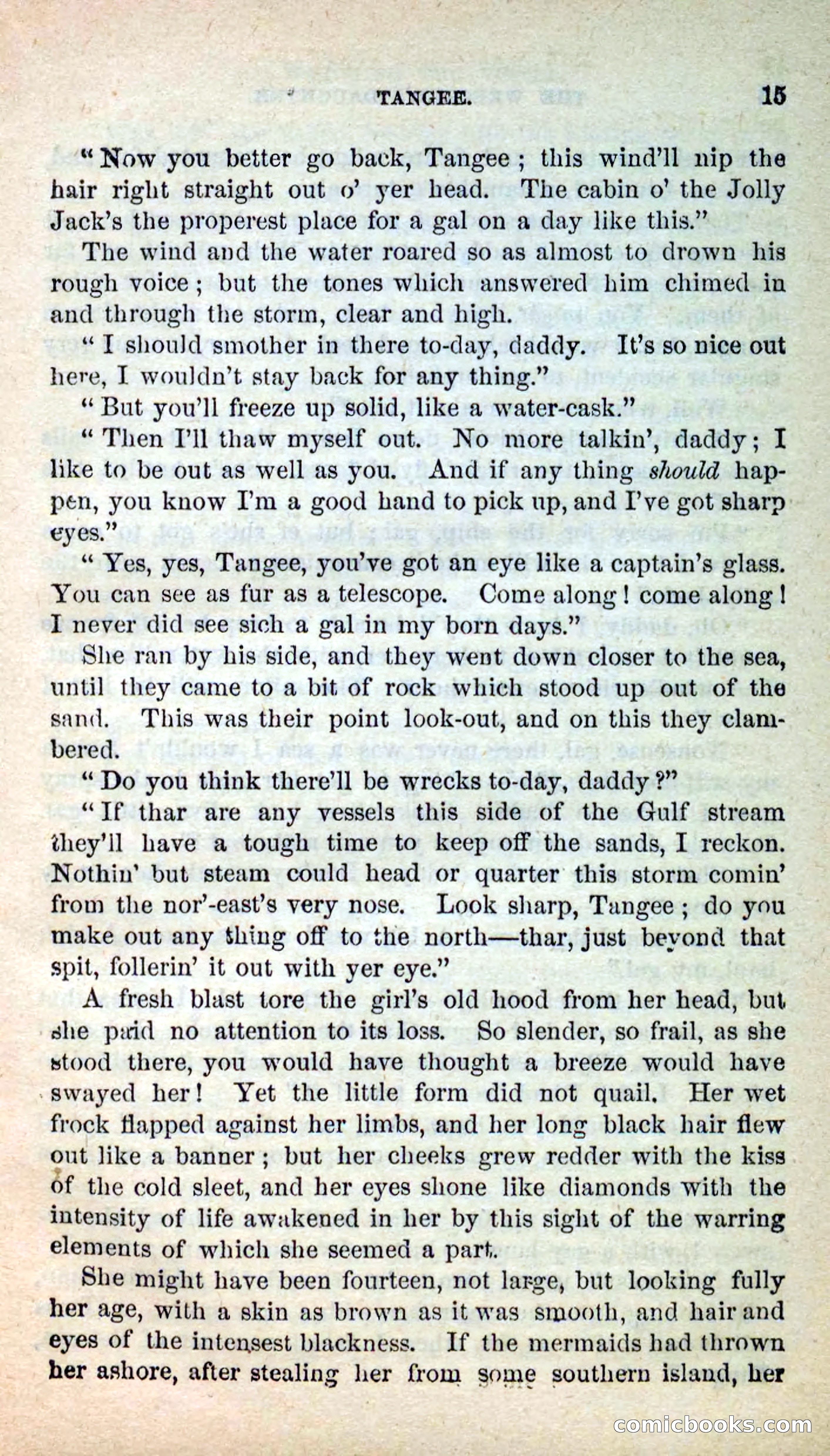 The Wrecker's Daughter — page 11 of 100