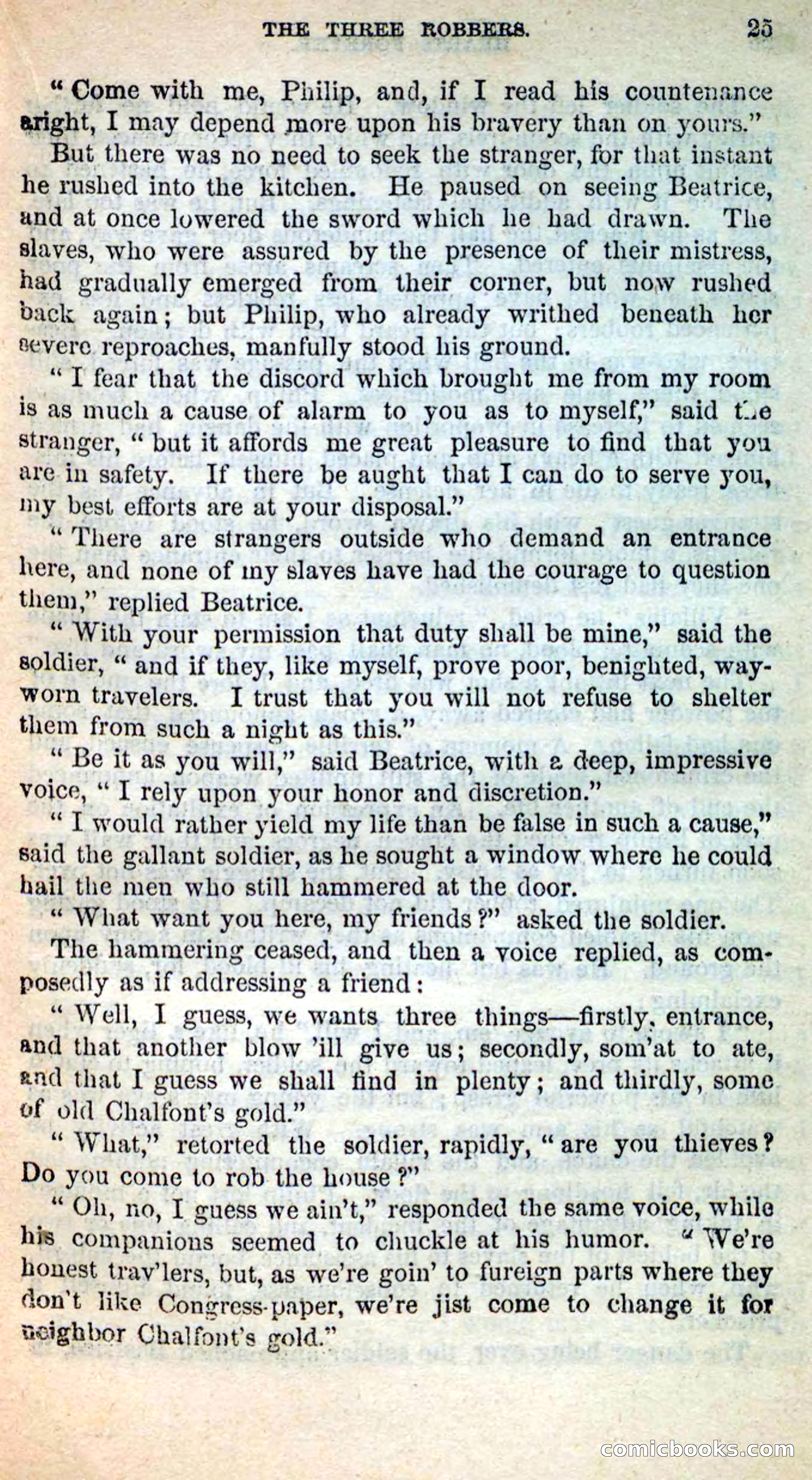 Beadle's New Dime Novels, No. 205 — page 21 of 100