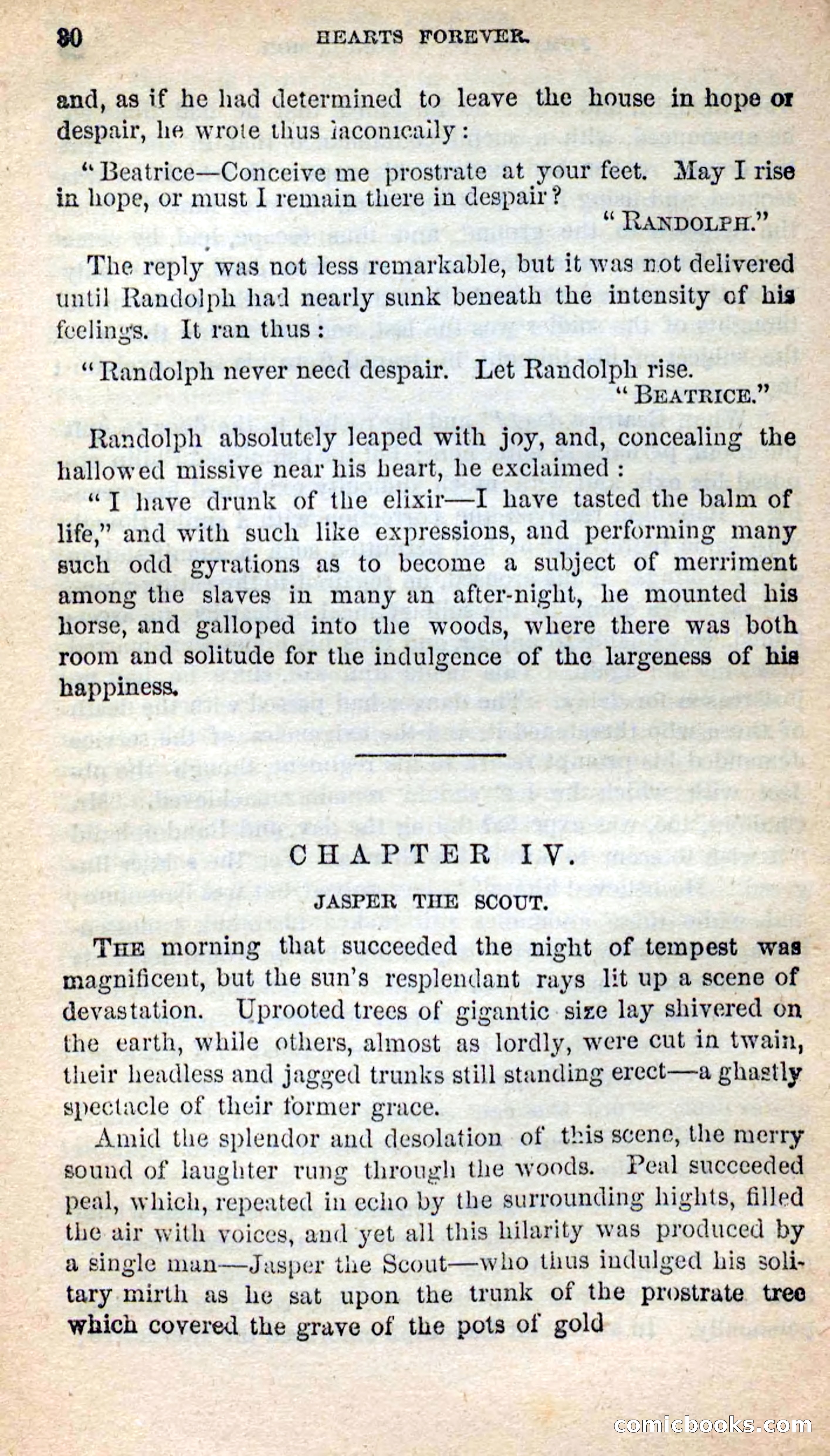 Beadle's New Dime Novels, No. 205 — page 26 of 100