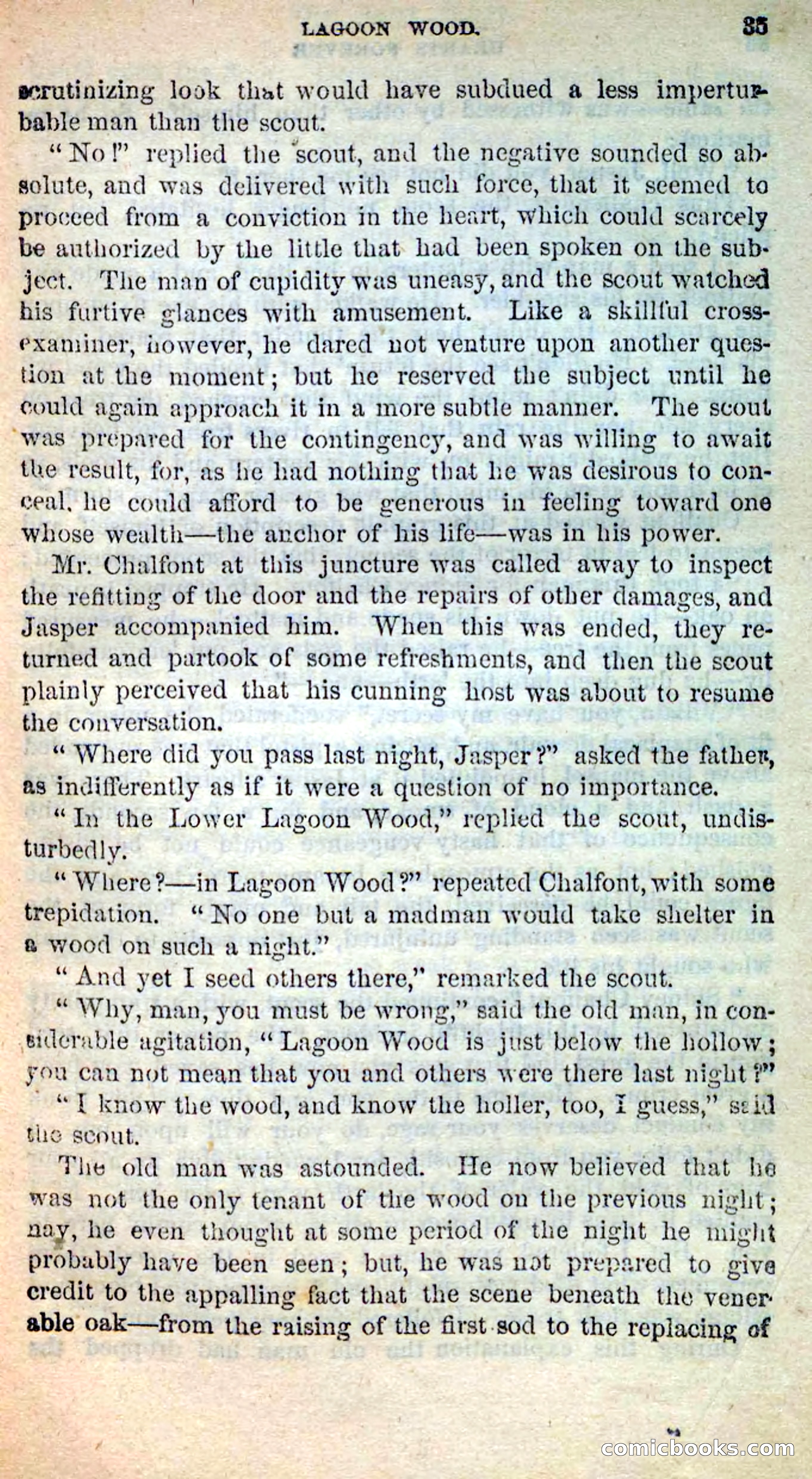 Beadle's New Dime Novels, No. 205 — page 31 of 100