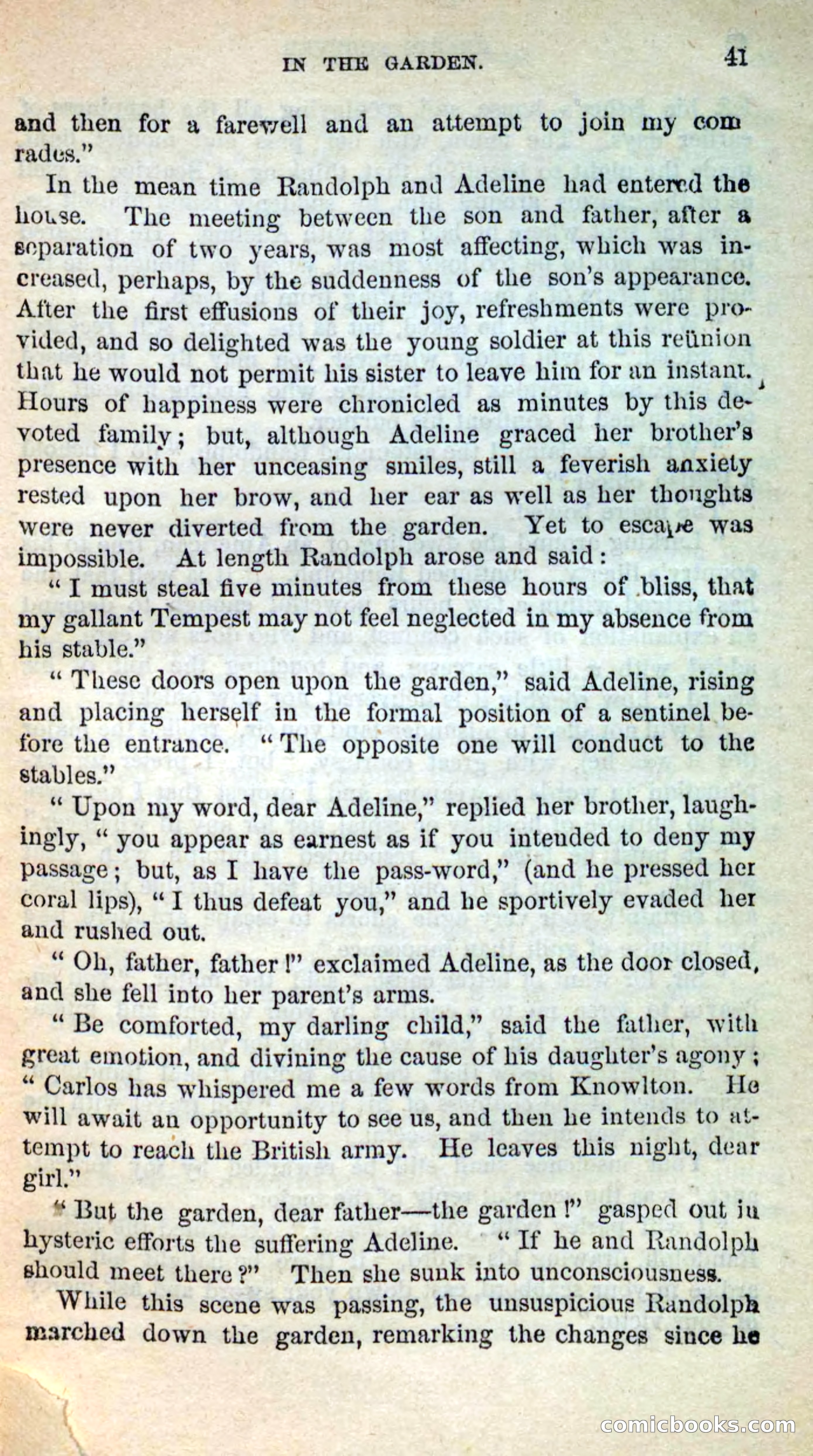 Beadle's New Dime Novels, No. 205 — page 37 of 100