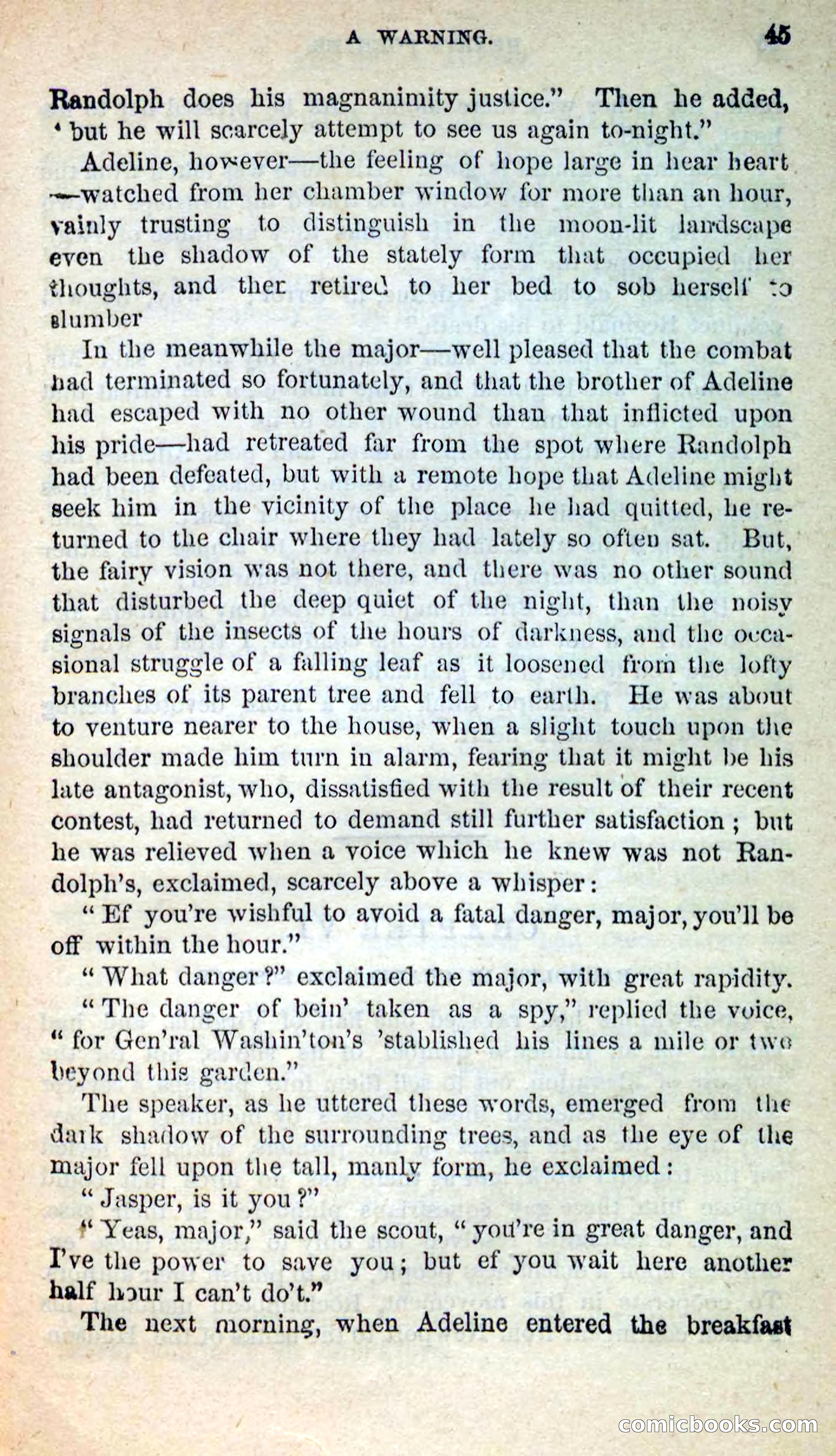 Beadle's New Dime Novels, No. 205 — page 41 of 100