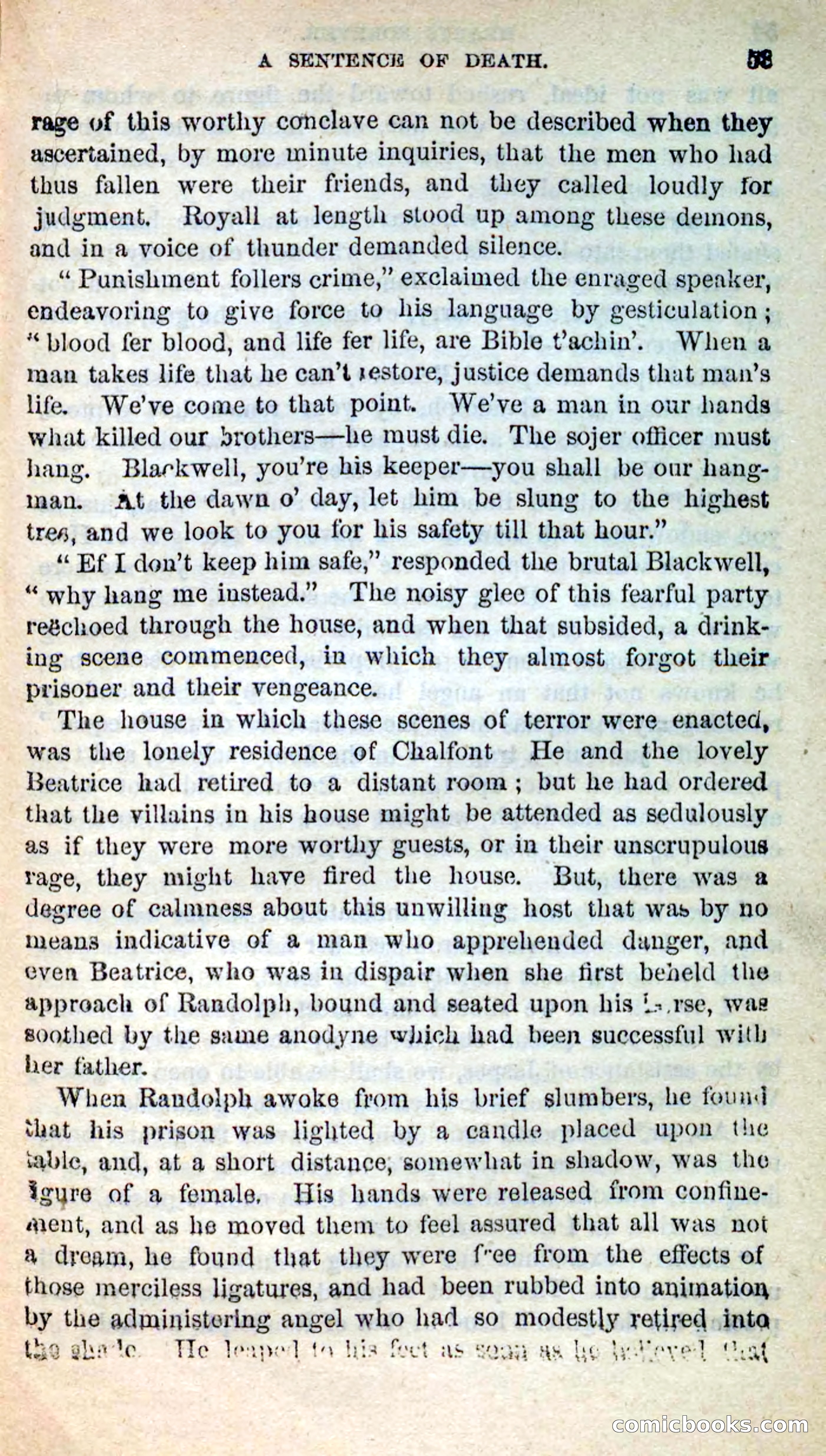 Beadle's New Dime Novels, No. 205 — page 49 of 100
