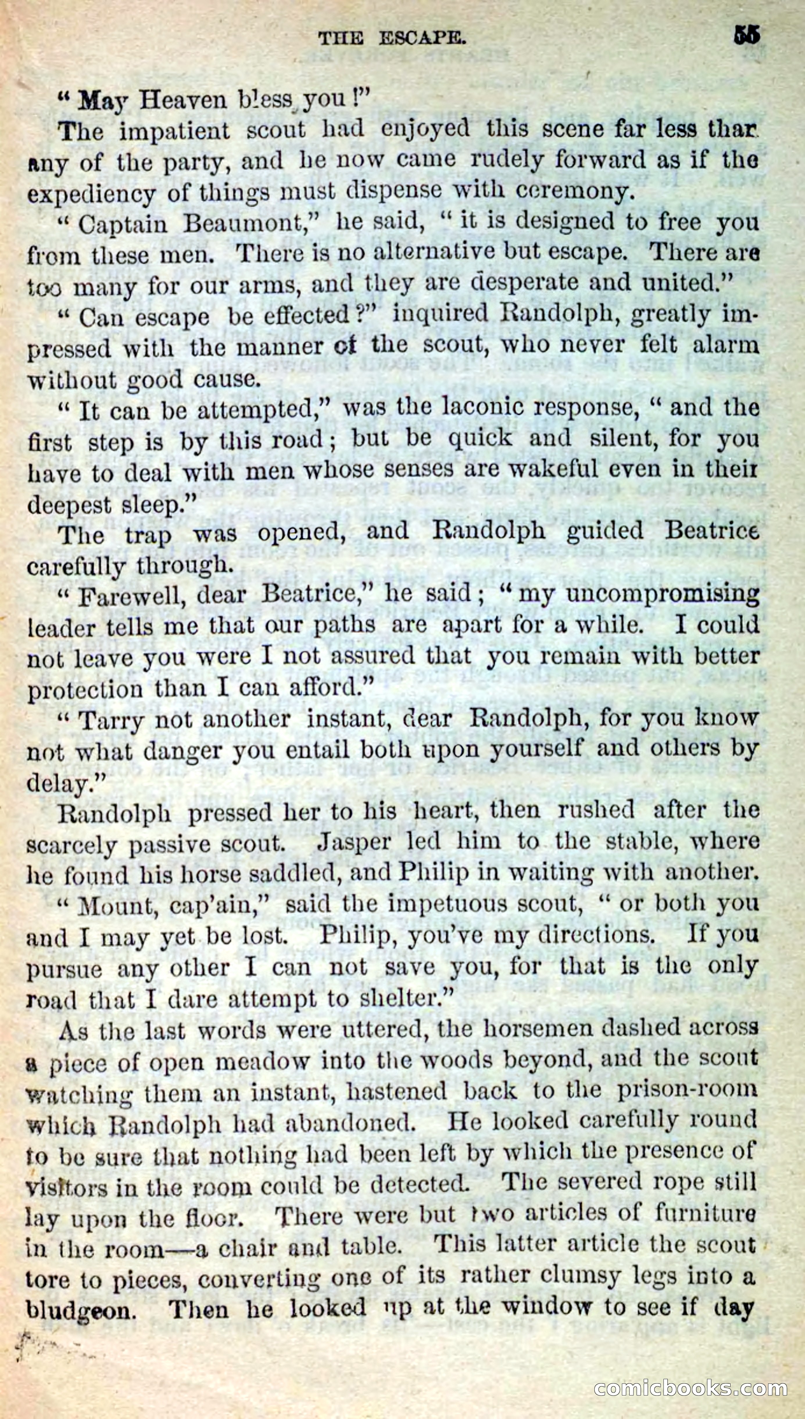 Beadle's New Dime Novels, No. 205 — page 51 of 100