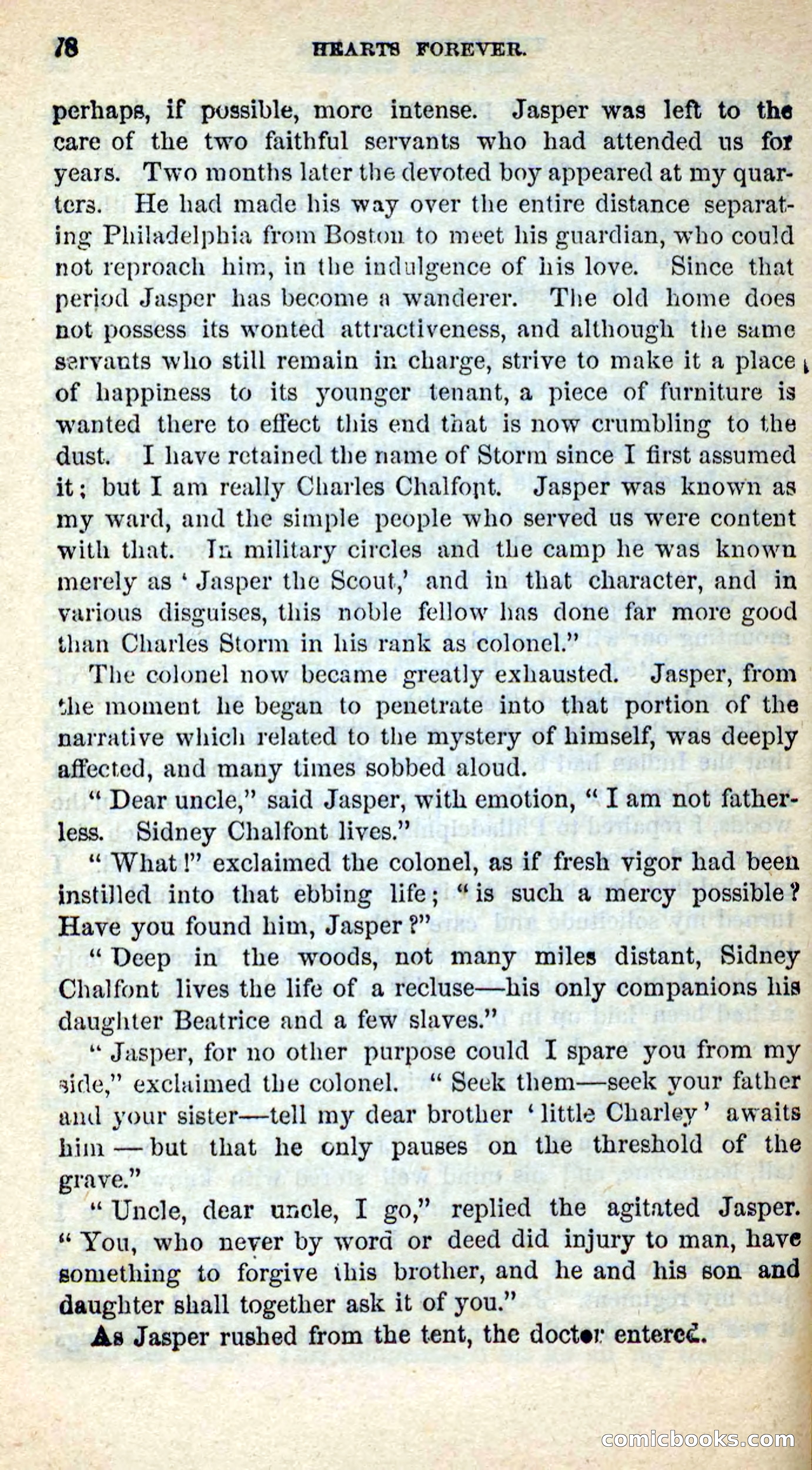 Beadle's New Dime Novels, No. 205 — page 74 of 100