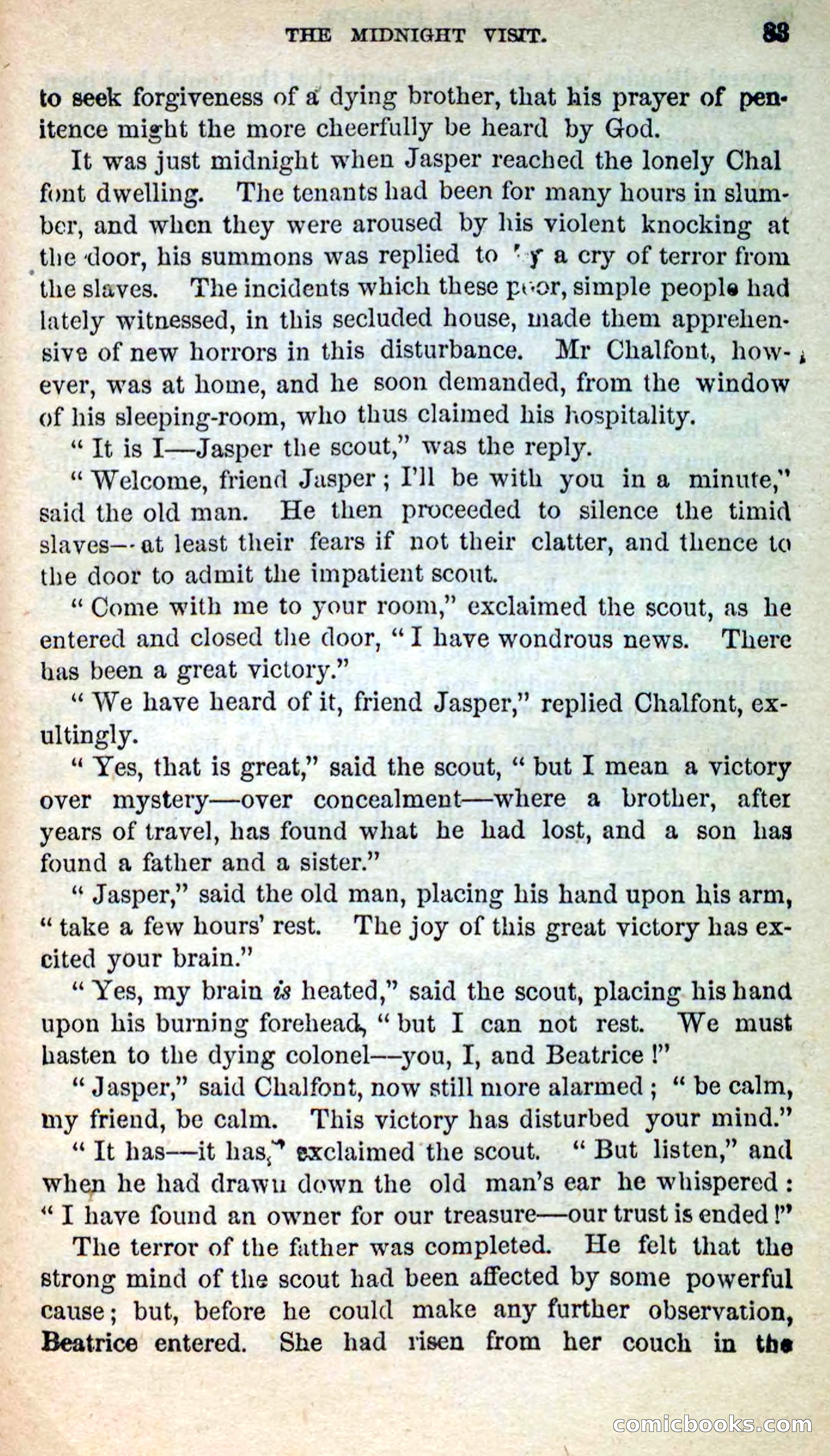 Beadle's New Dime Novels, No. 205 — page 79 of 100