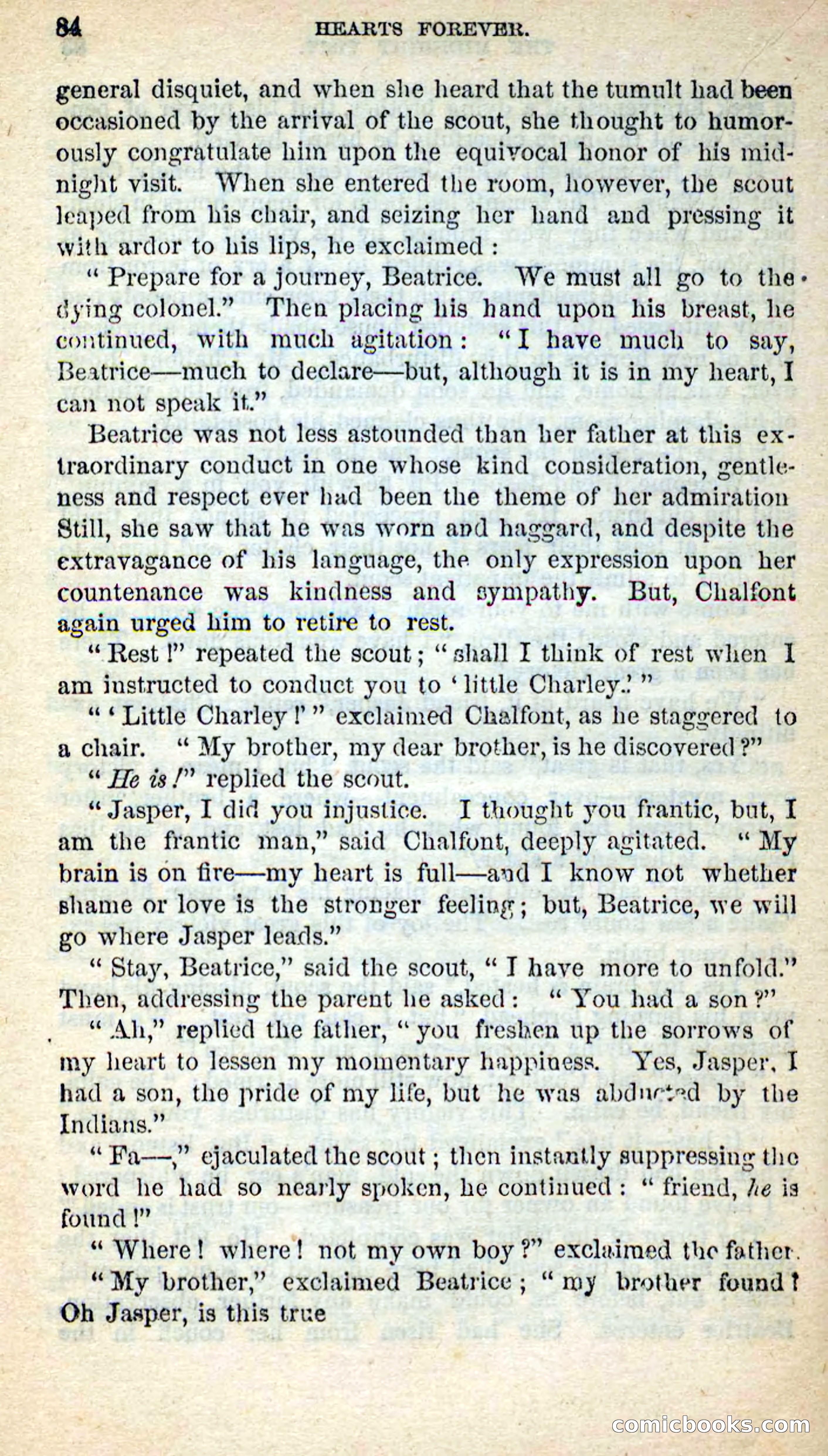 Beadle's New Dime Novels, No. 205 — page 80 of 100