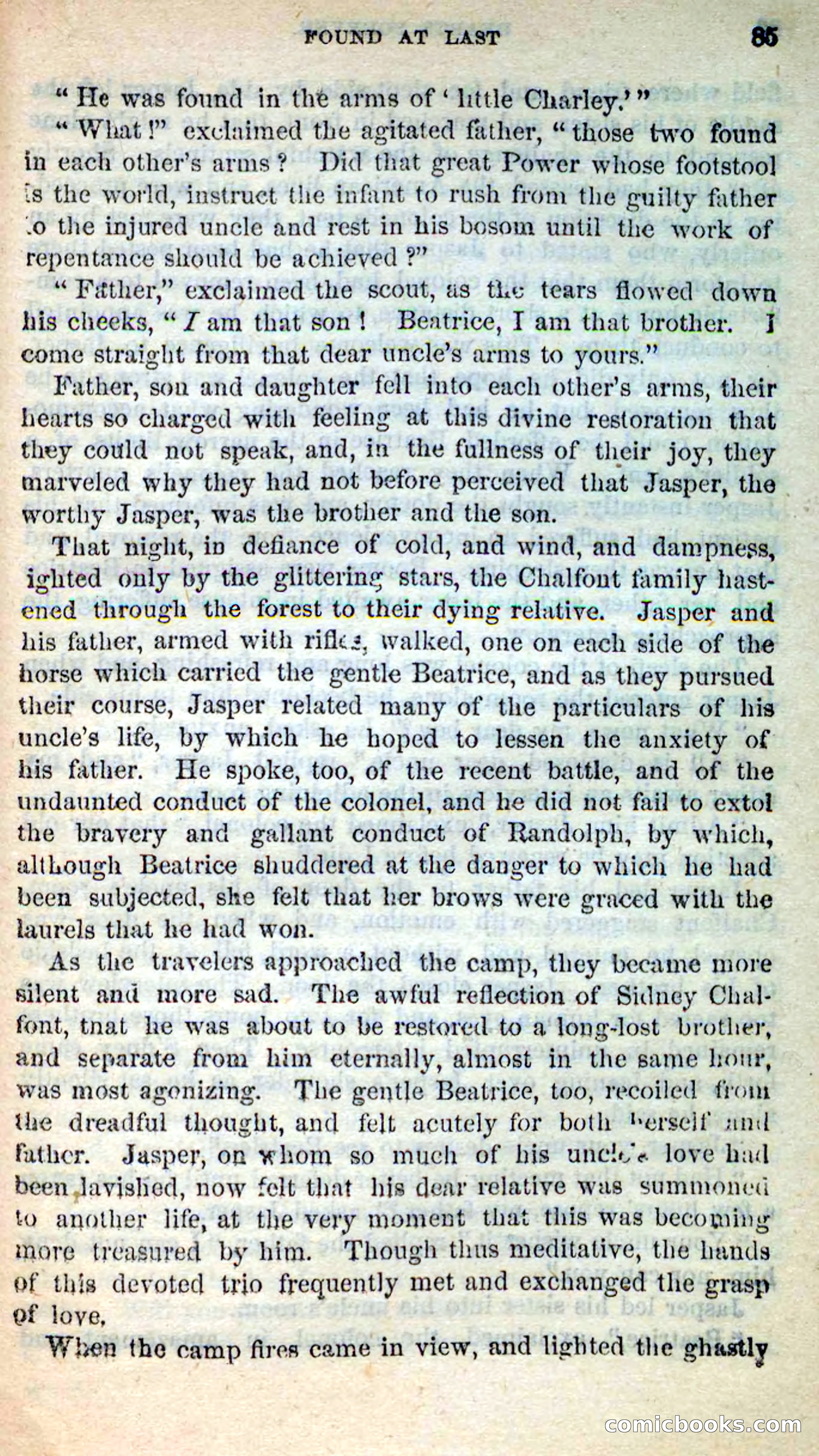 Beadle's New Dime Novels, No. 205 — page 81 of 100