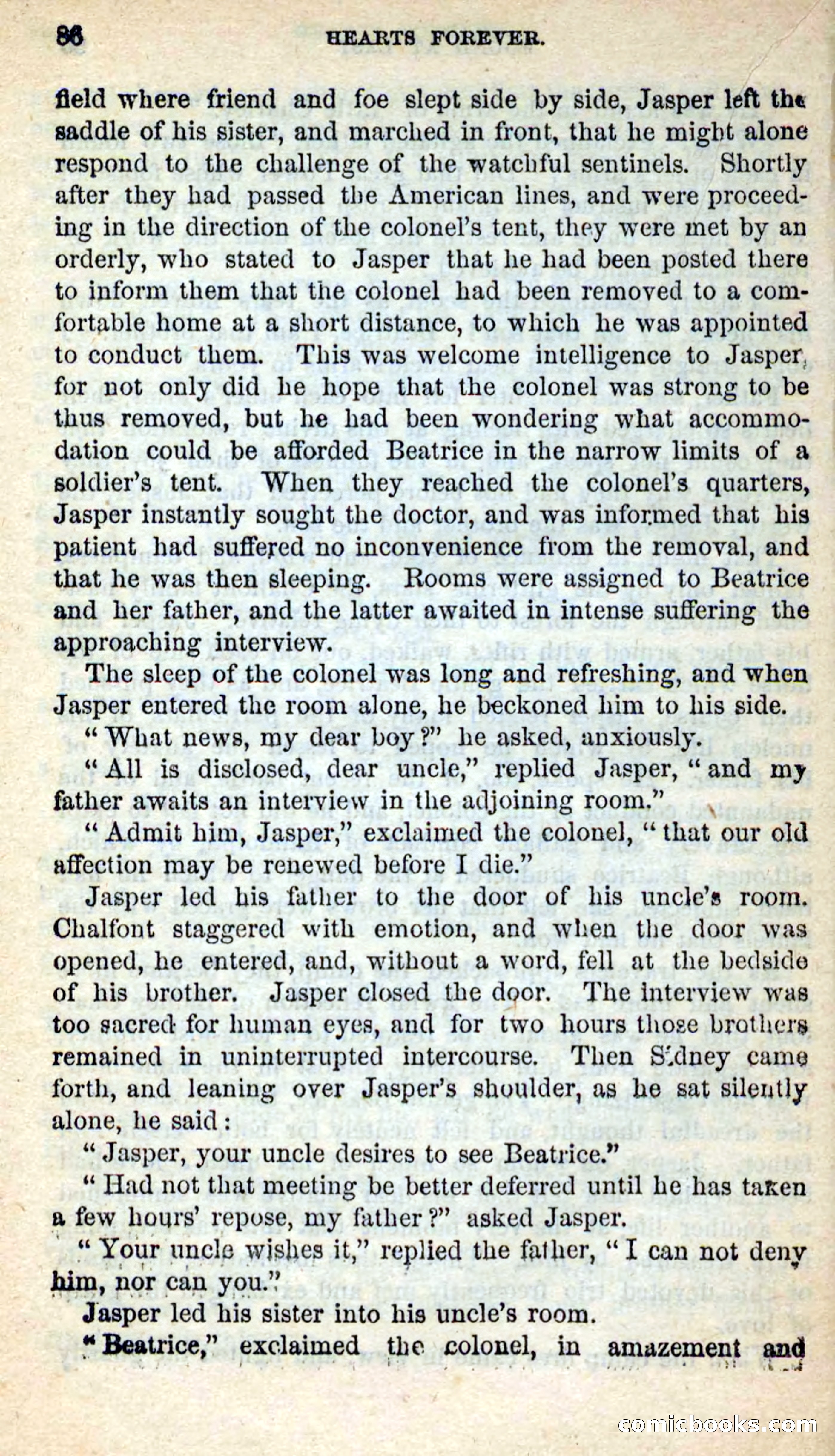 Beadle's New Dime Novels, No. 205 — page 82 of 100