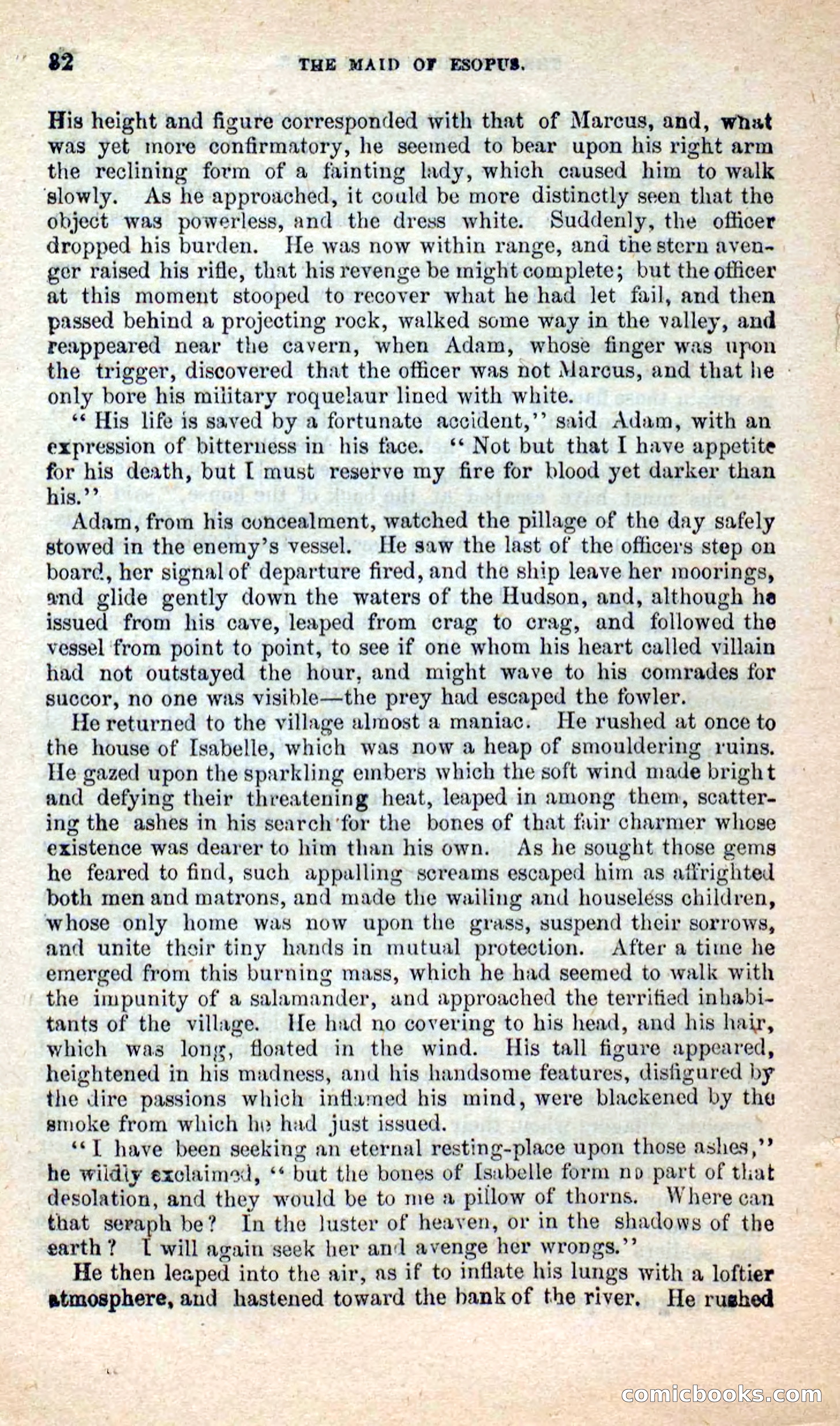 The Maid of Esopus — page 28 of 100