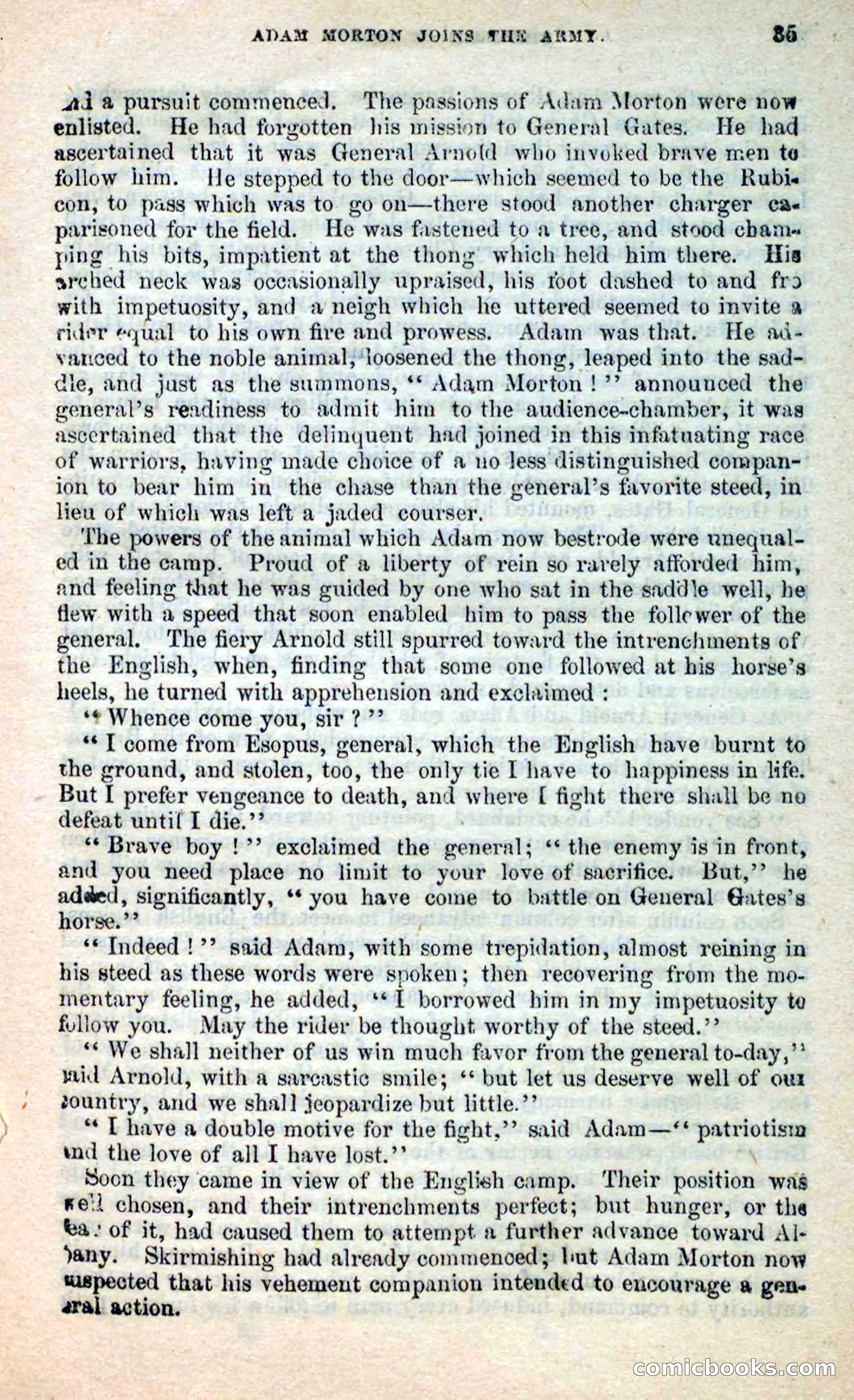 The Maid of Esopus — page 31 of 100