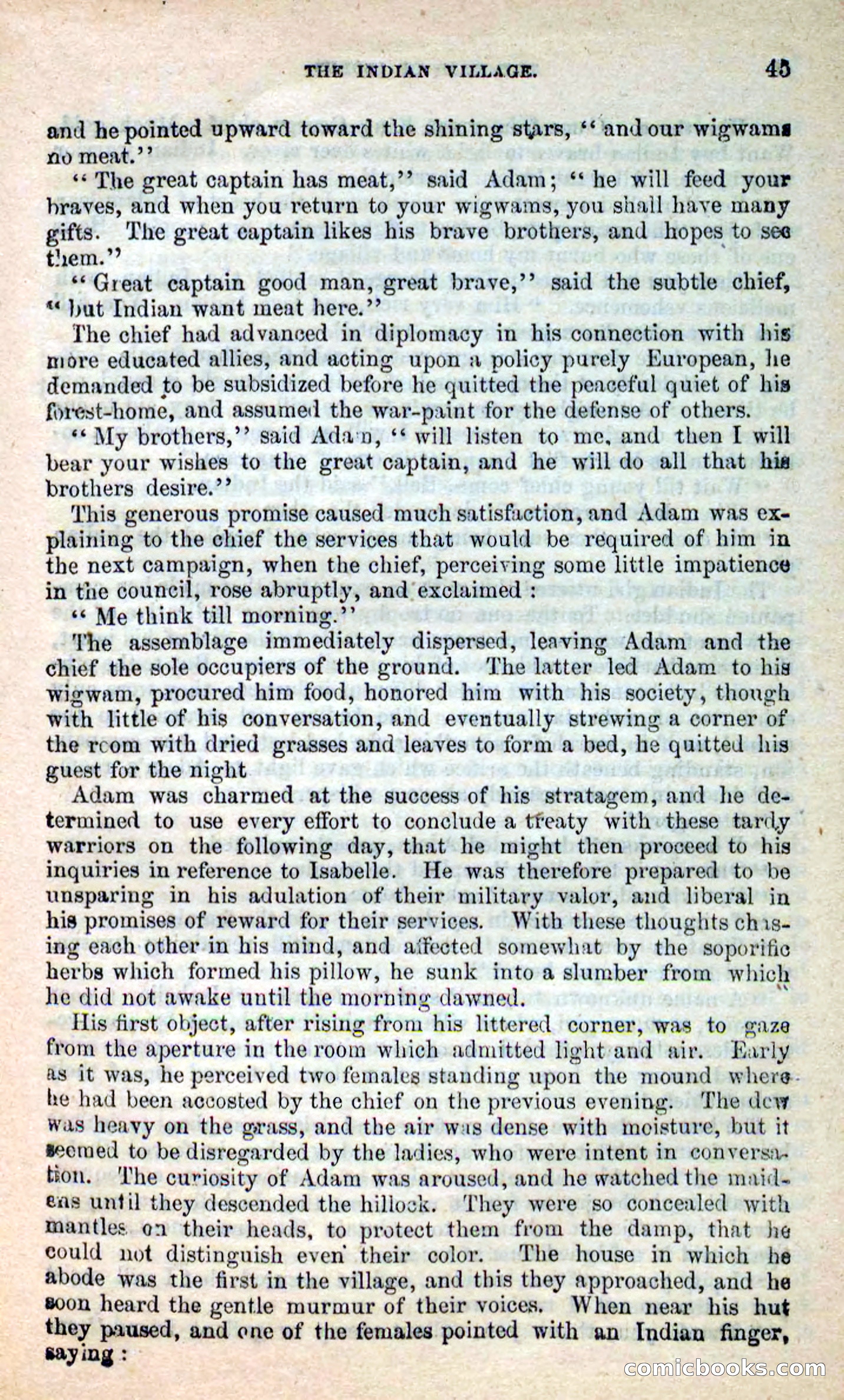 The Maid of Esopus — page 41 of 100