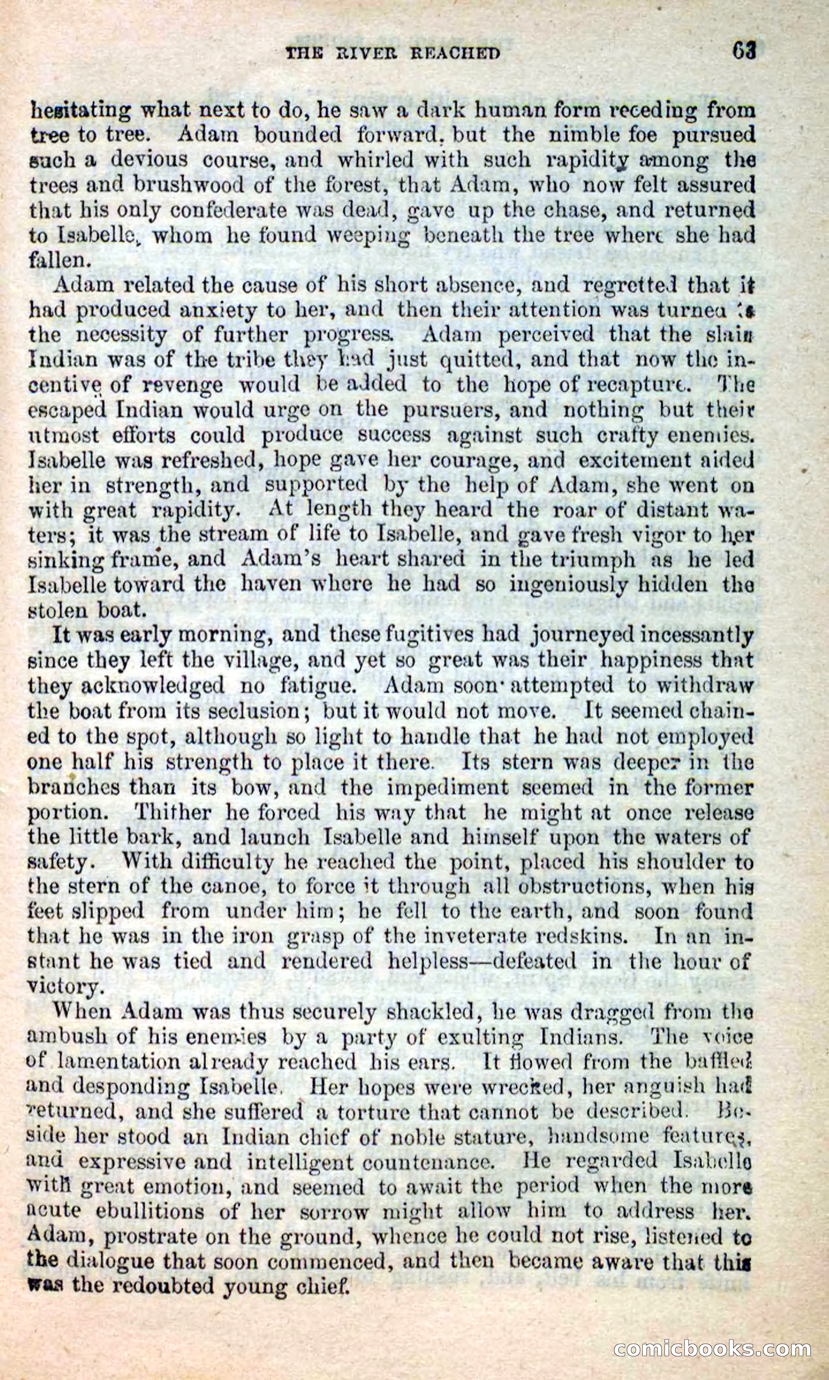 The Maid of Esopus — page 59 of 100