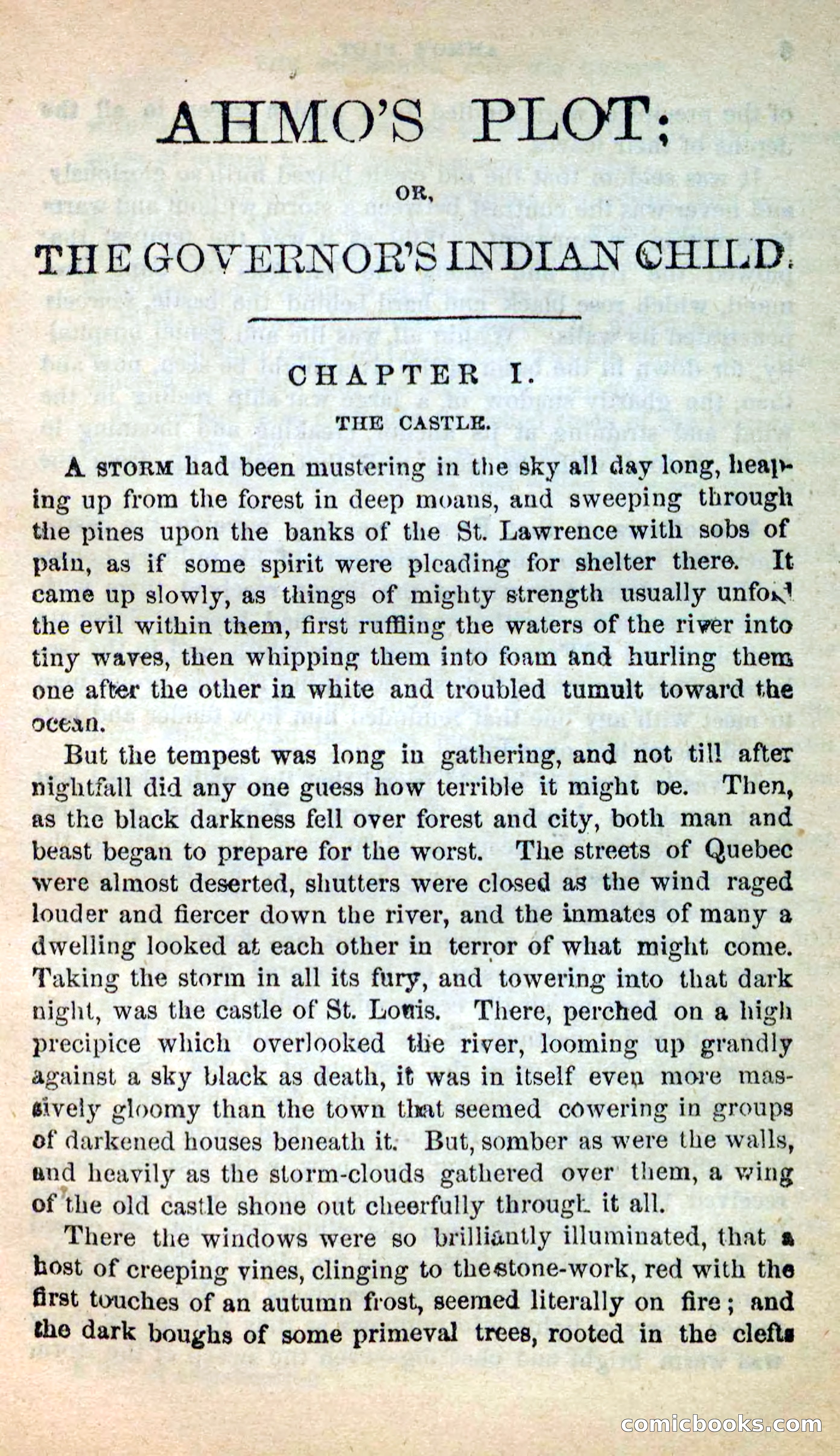 Beadle's New Dime Novels: Ahmo's Plot — page 5 of 133
