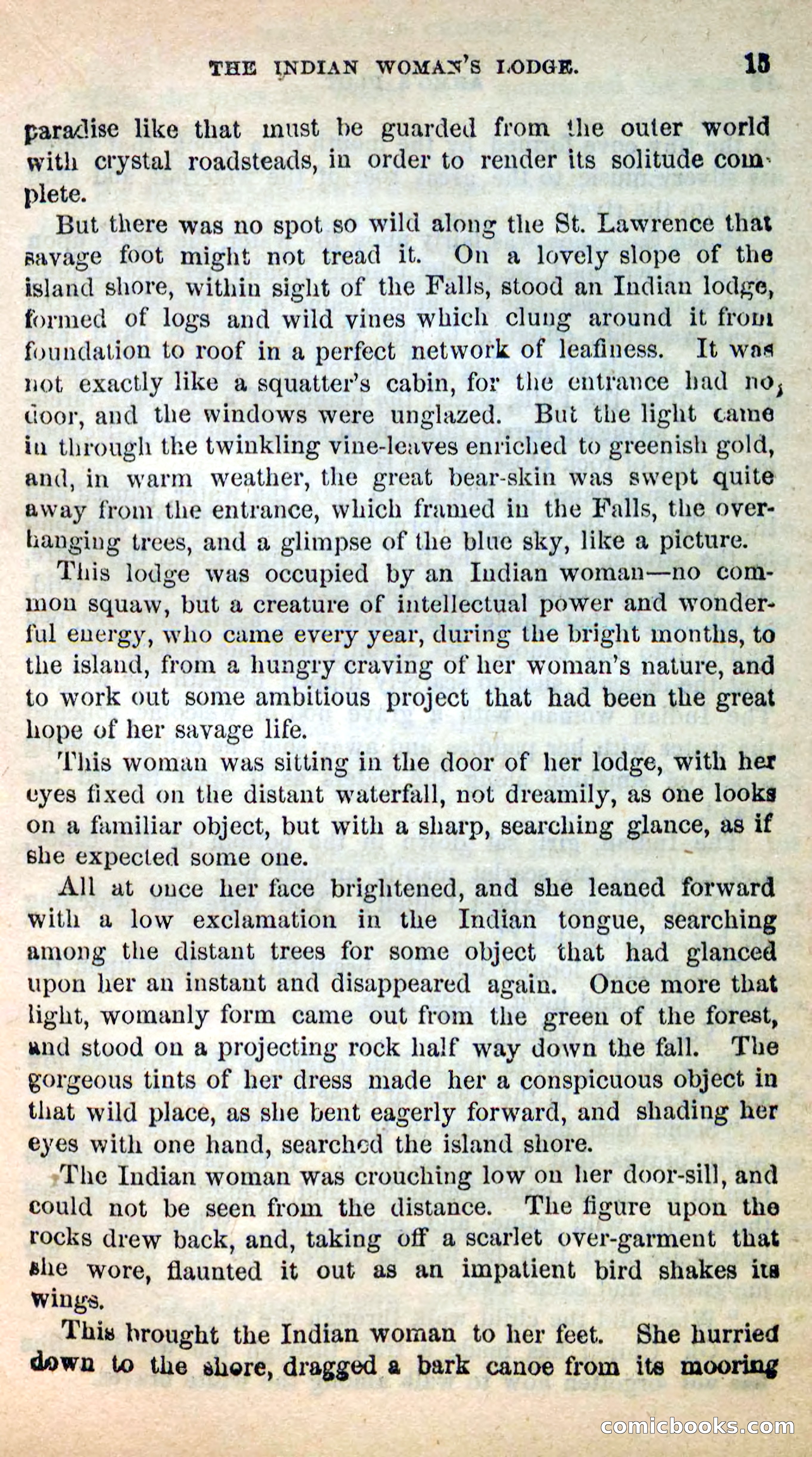 Beadle's New Dime Novels: Ahmo's Plot — page 15 of 133