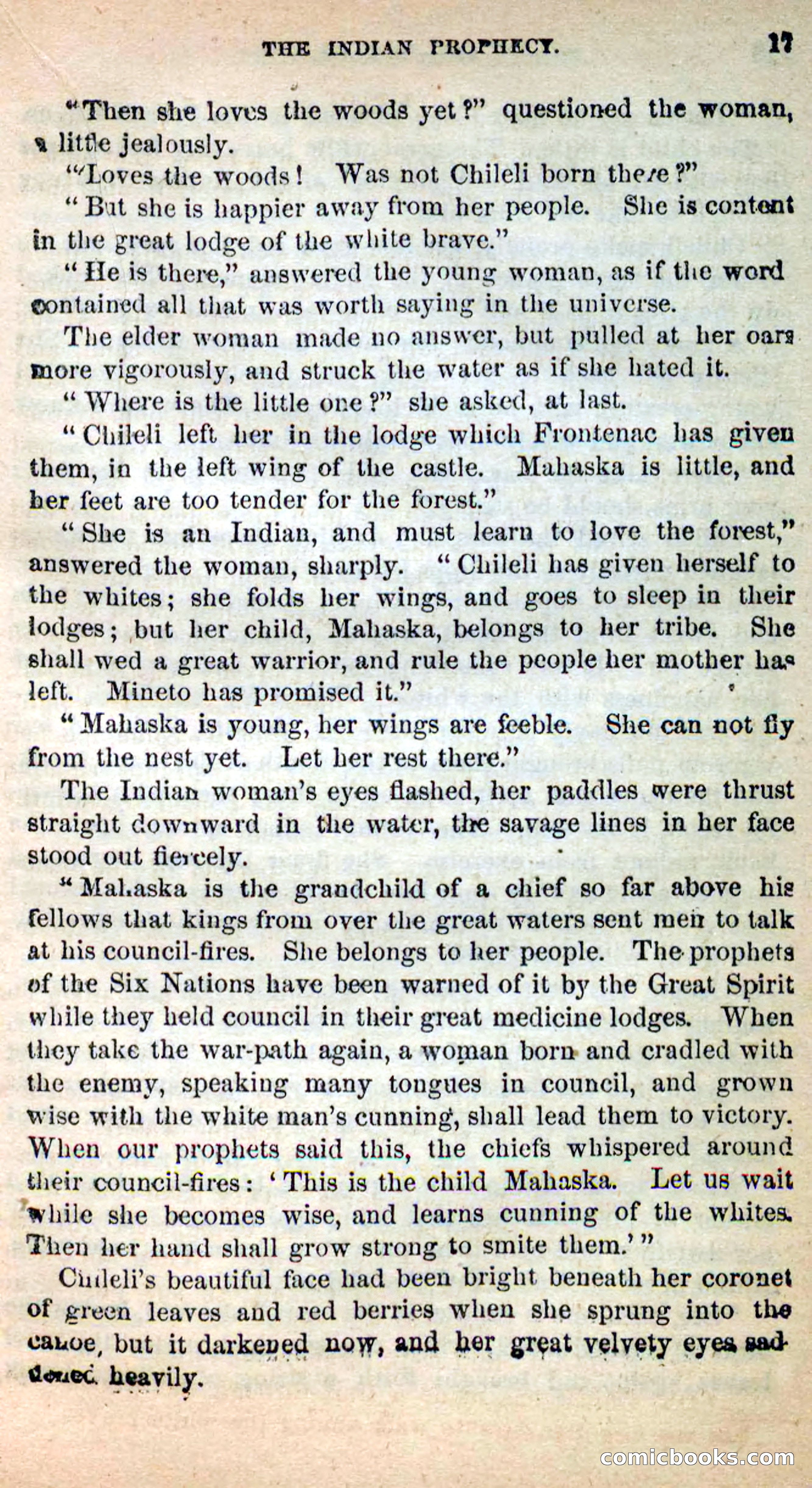 Beadle's New Dime Novels: Ahmo's Plot — page 17 of 133
