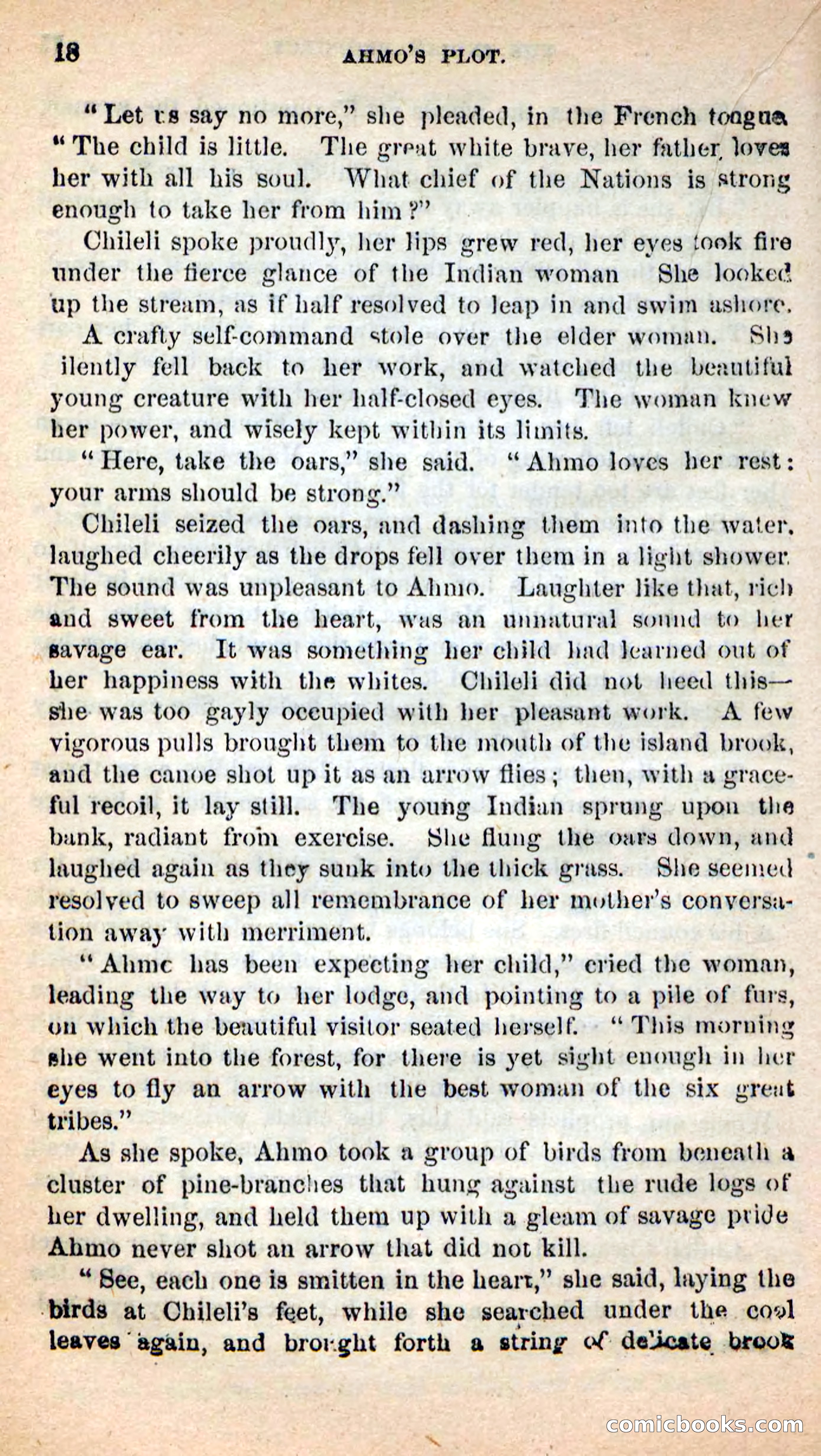 Beadle's New Dime Novels: Ahmo's Plot — page 18 of 133