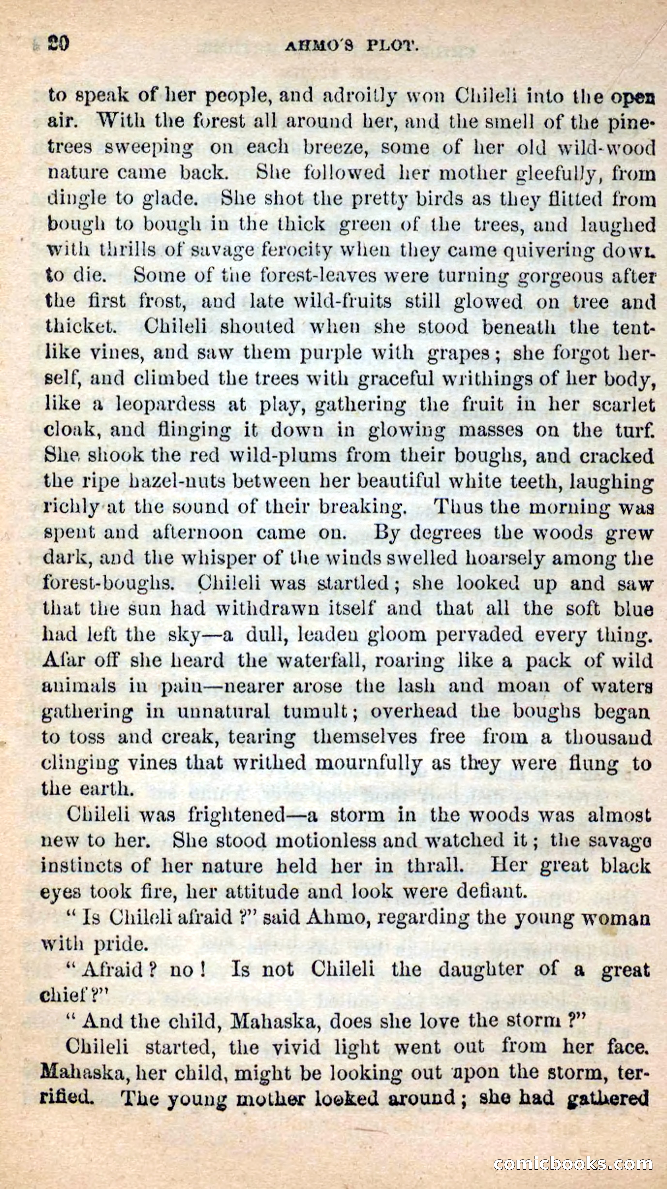 Beadle's New Dime Novels: Ahmo's Plot — page 20 of 133