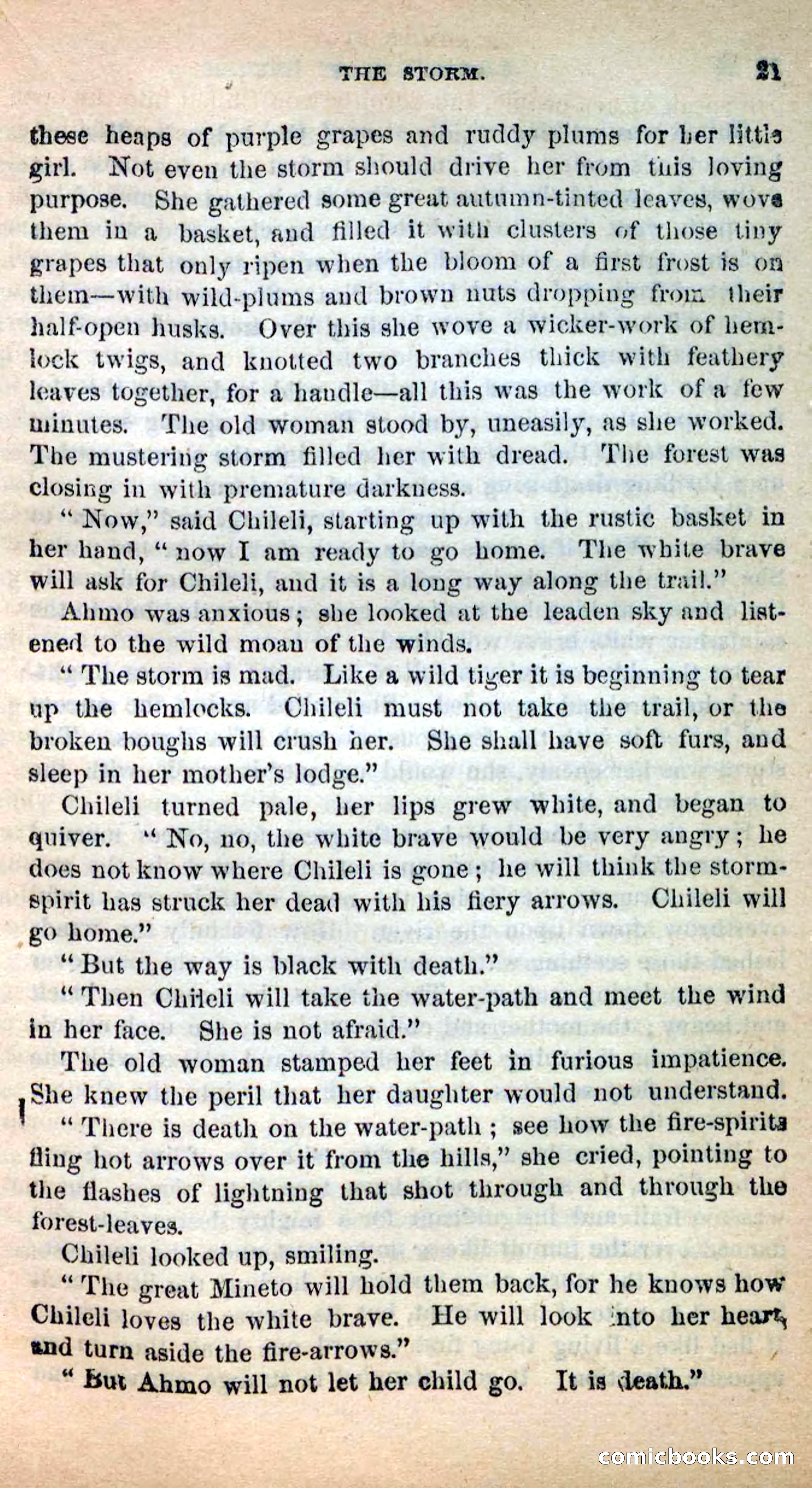 Beadle's New Dime Novels: Ahmo's Plot — page 21 of 133