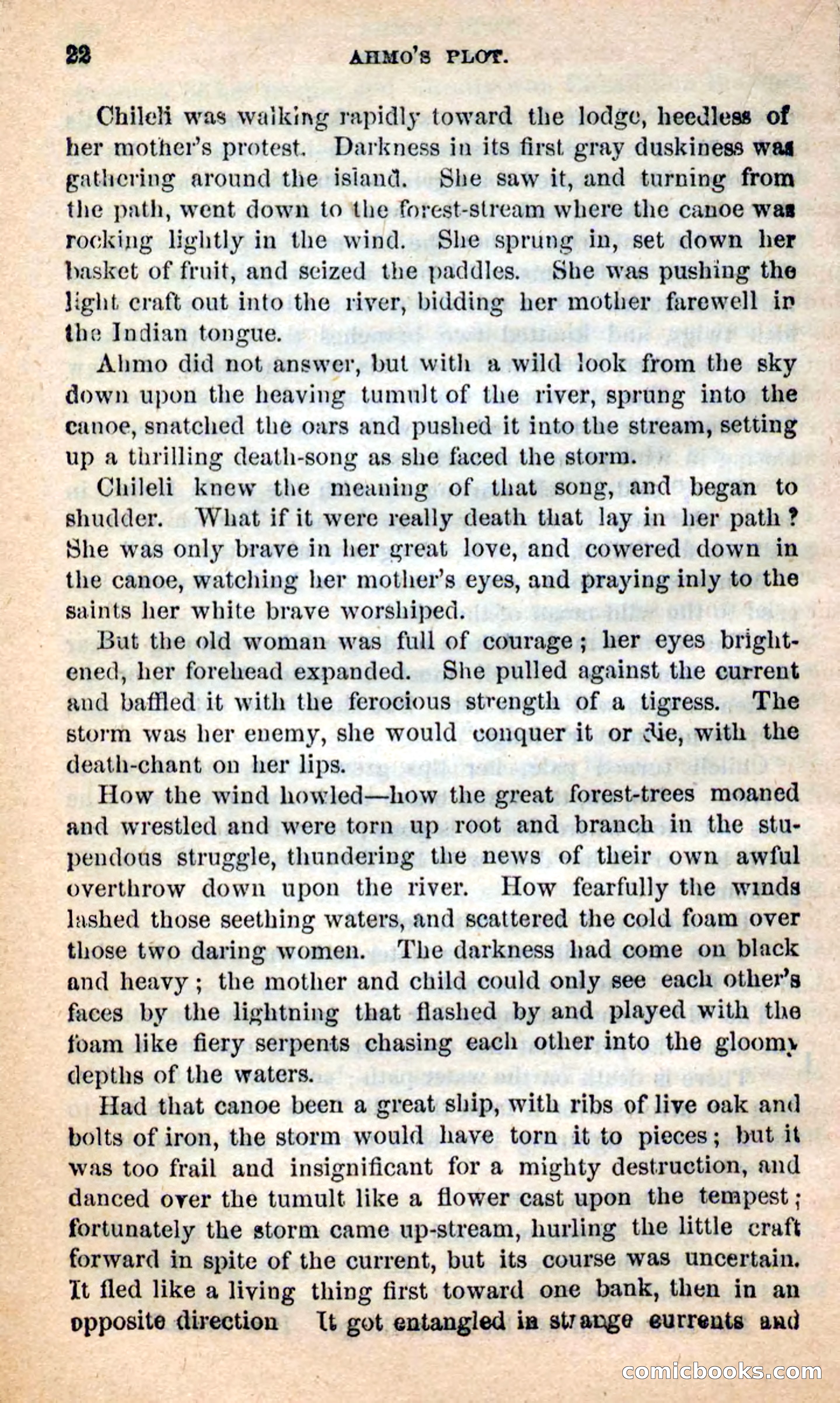 Beadle's New Dime Novels: Ahmo's Plot — page 22 of 133
