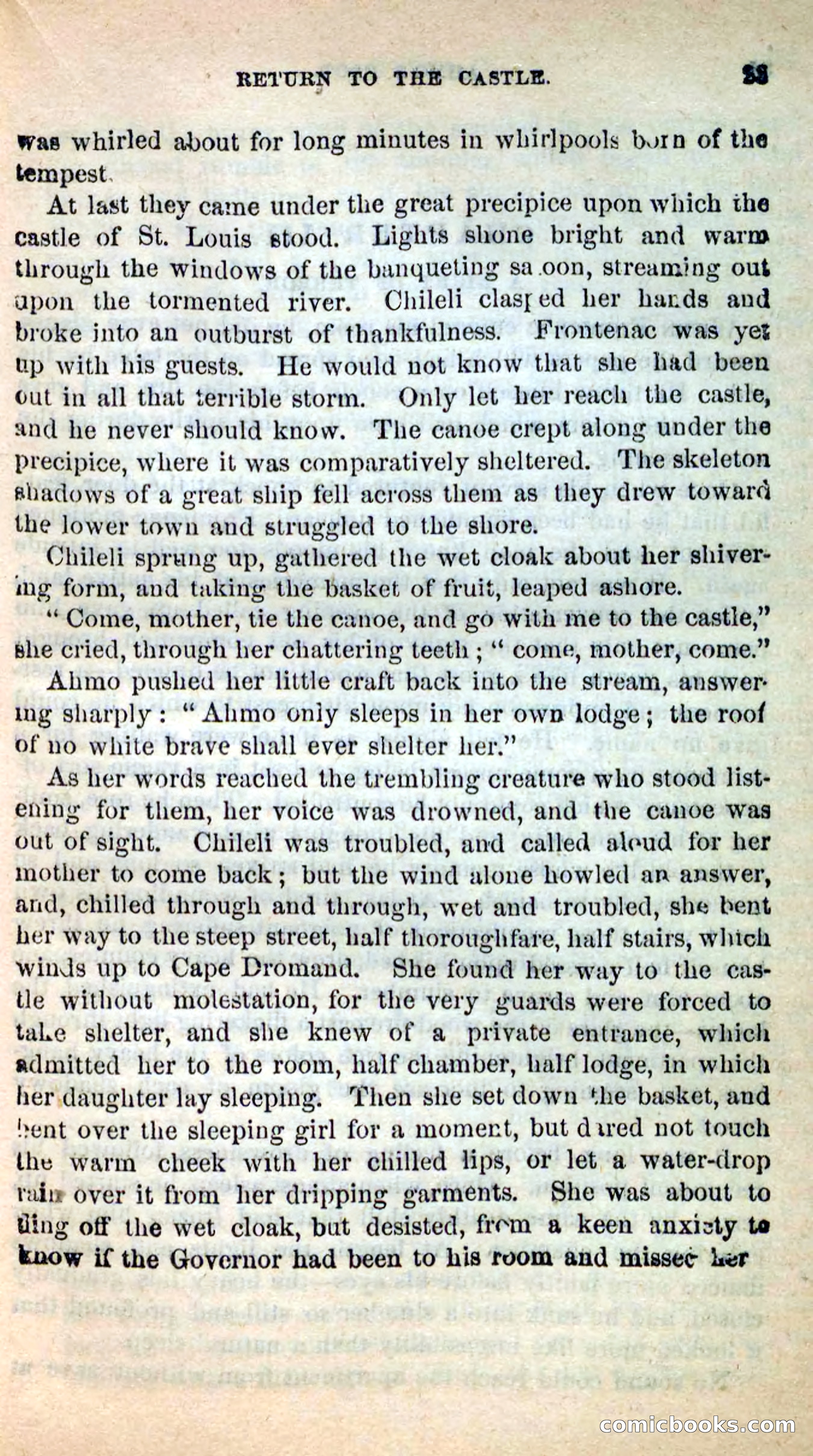 Beadle's New Dime Novels: Ahmo's Plot — page 23 of 133