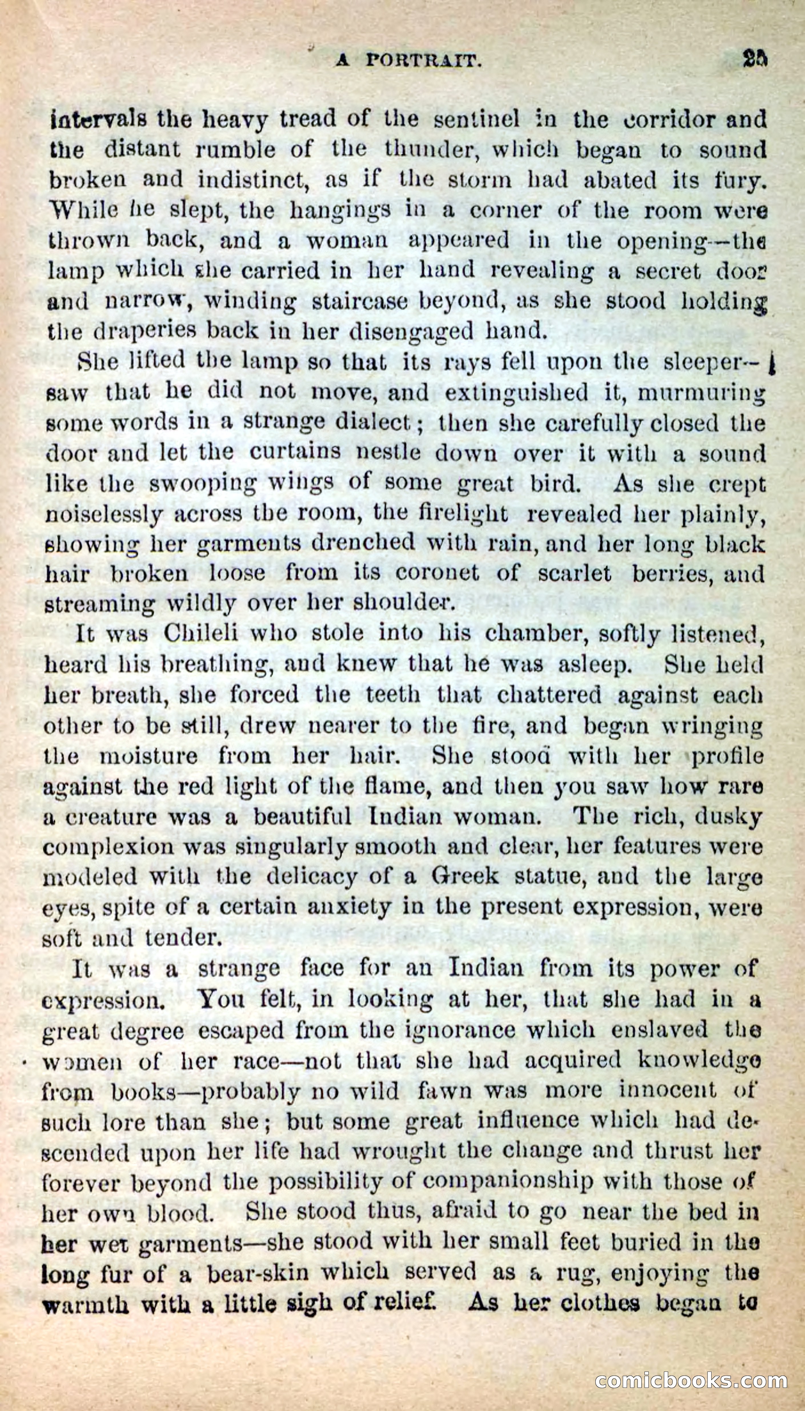 Beadle's New Dime Novels: Ahmo's Plot — page 25 of 133