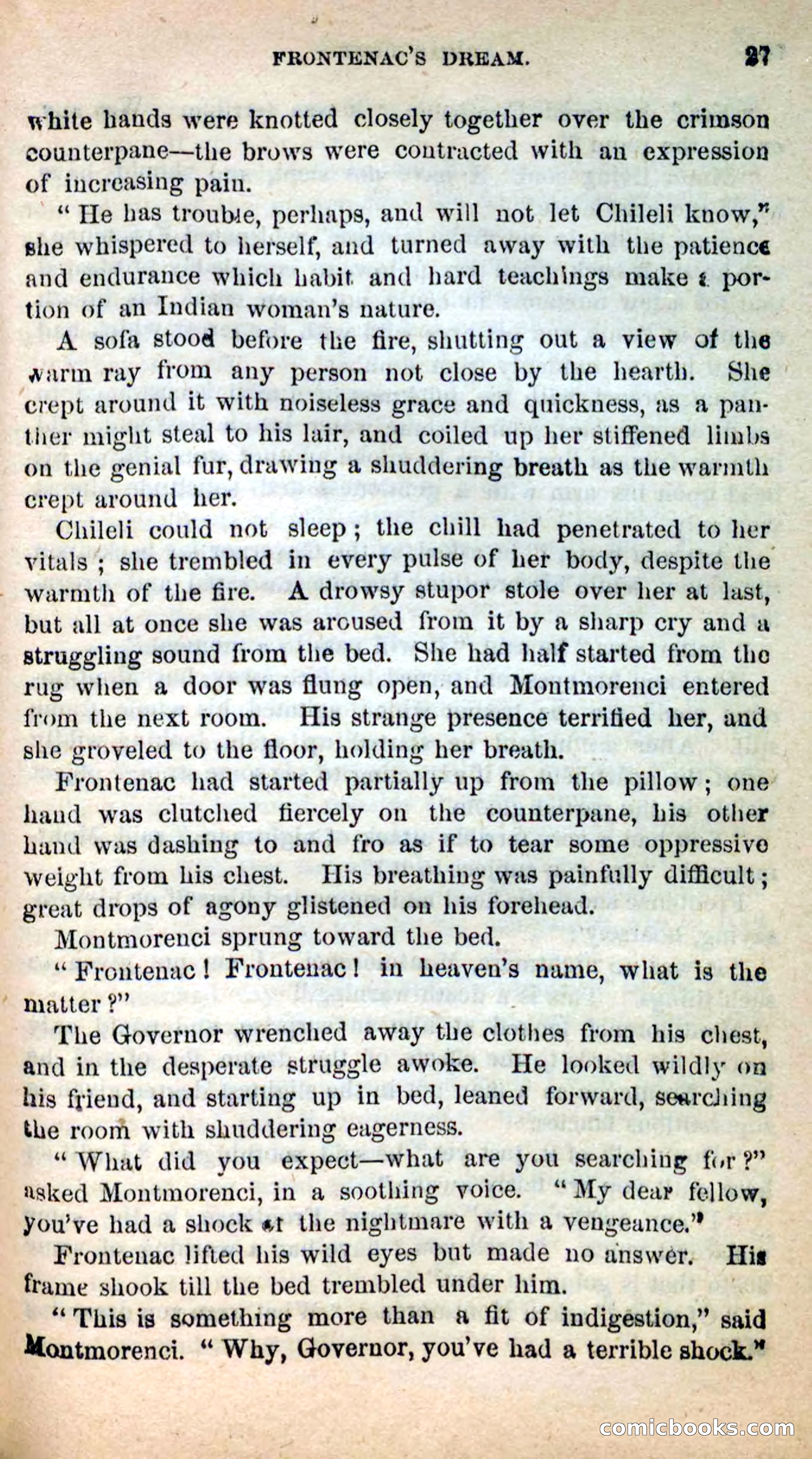 Beadle's New Dime Novels: Ahmo's Plot — page 27 of 133