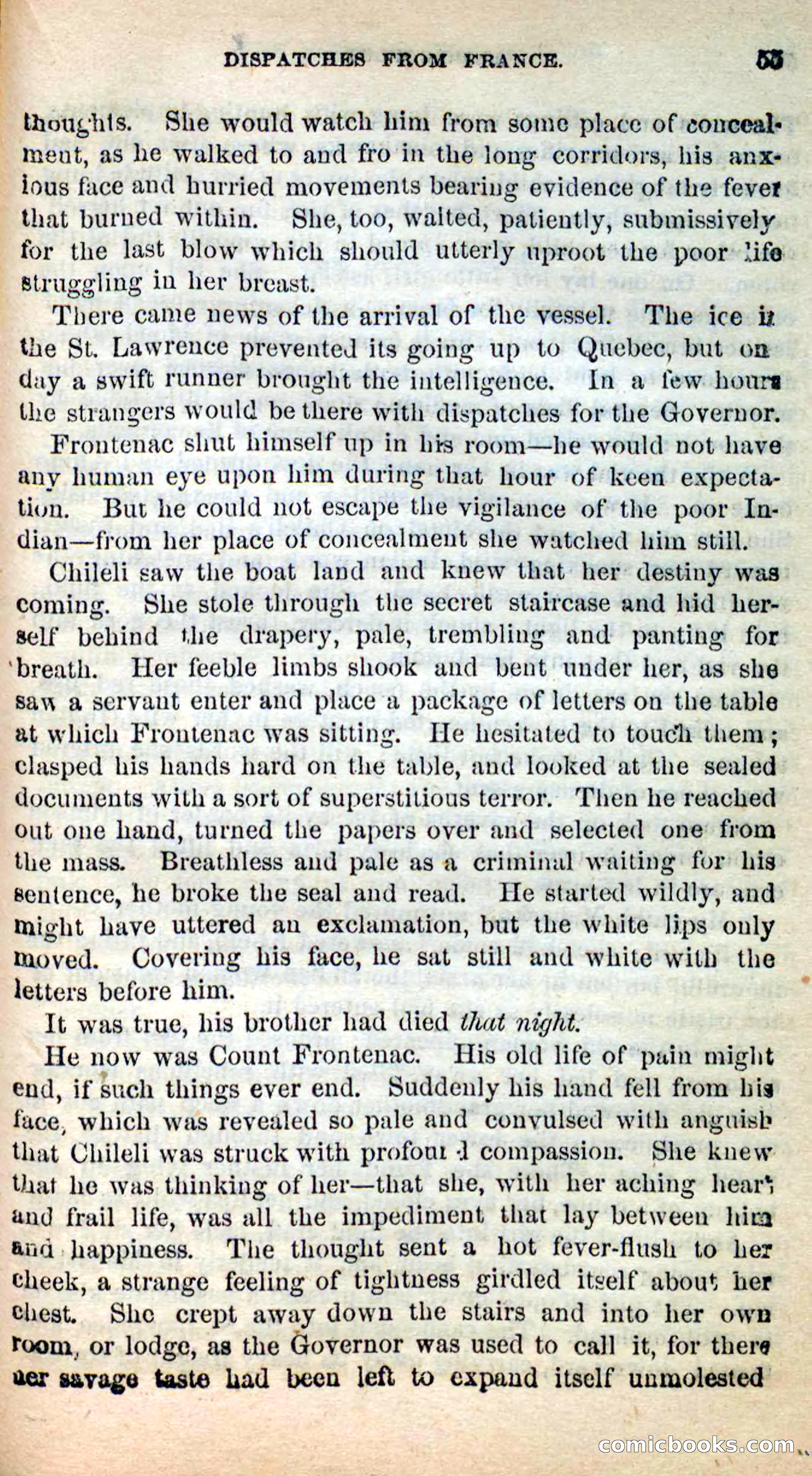 Beadle's New Dime Novels: Ahmo's Plot — page 55 of 133