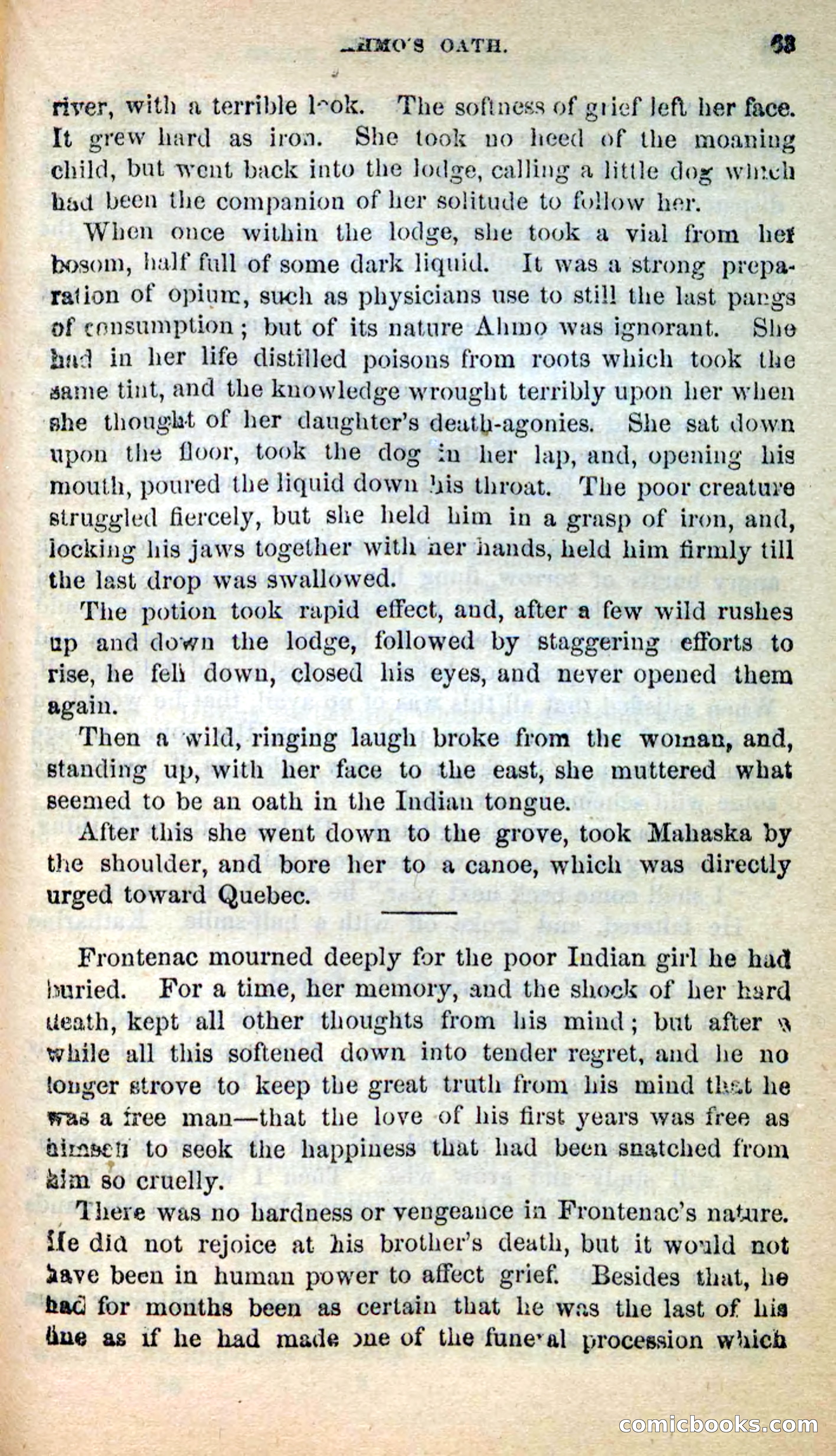 Beadle's New Dime Novels: Ahmo's Plot — page 63 of 133