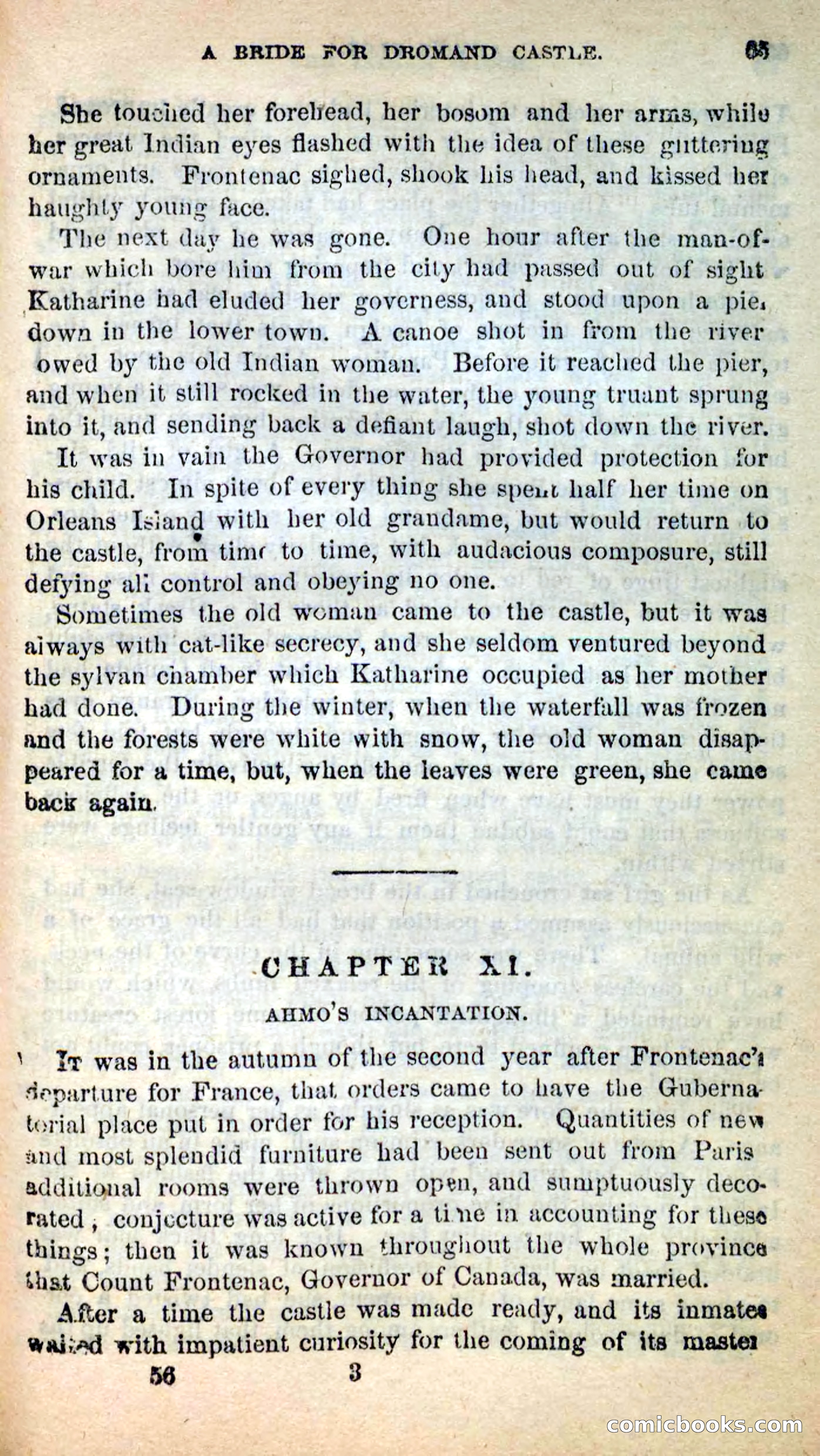 Beadle's New Dime Novels: Ahmo's Plot — page 65 of 133