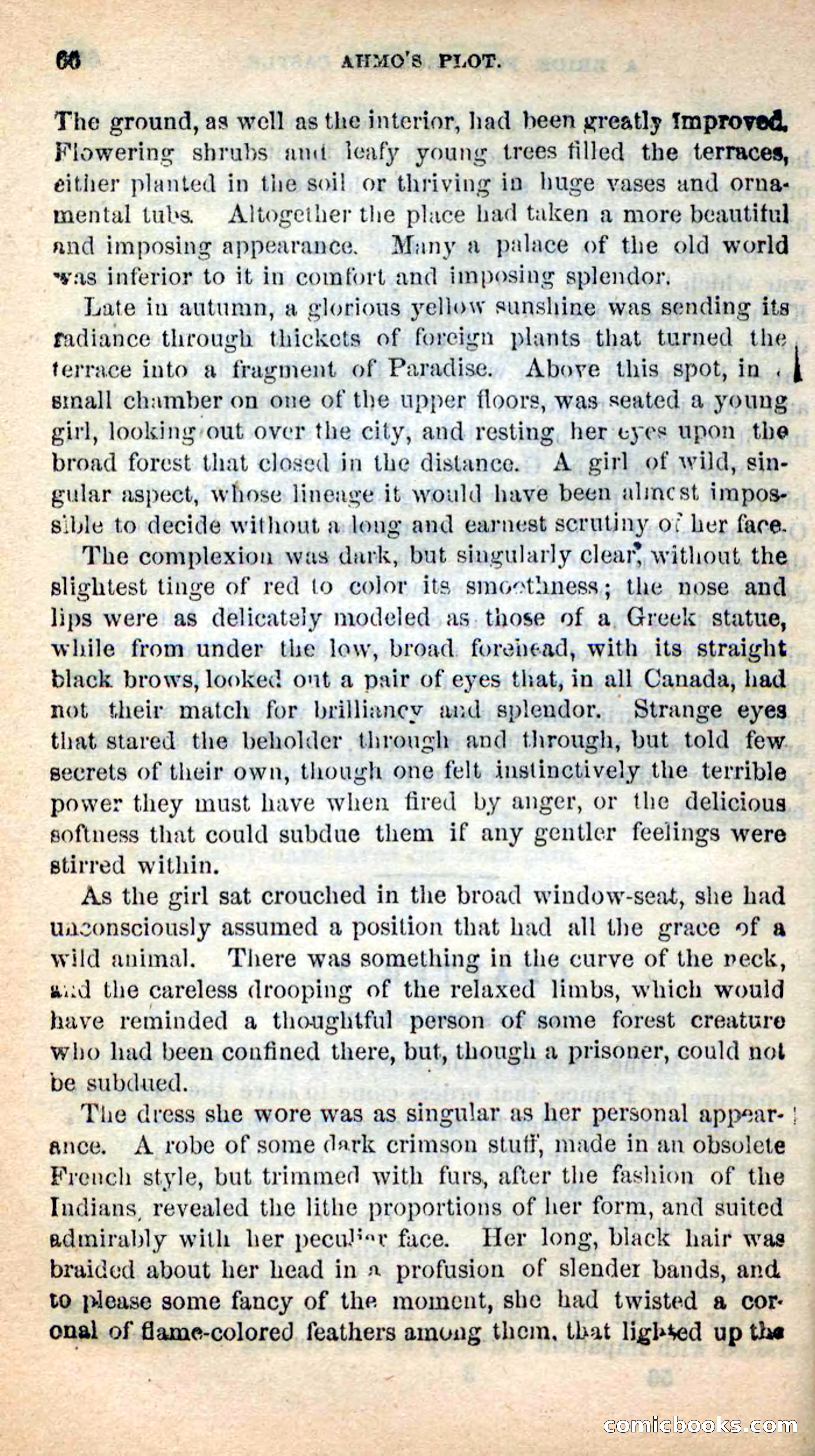 Beadle's New Dime Novels: Ahmo's Plot — page 66 of 133