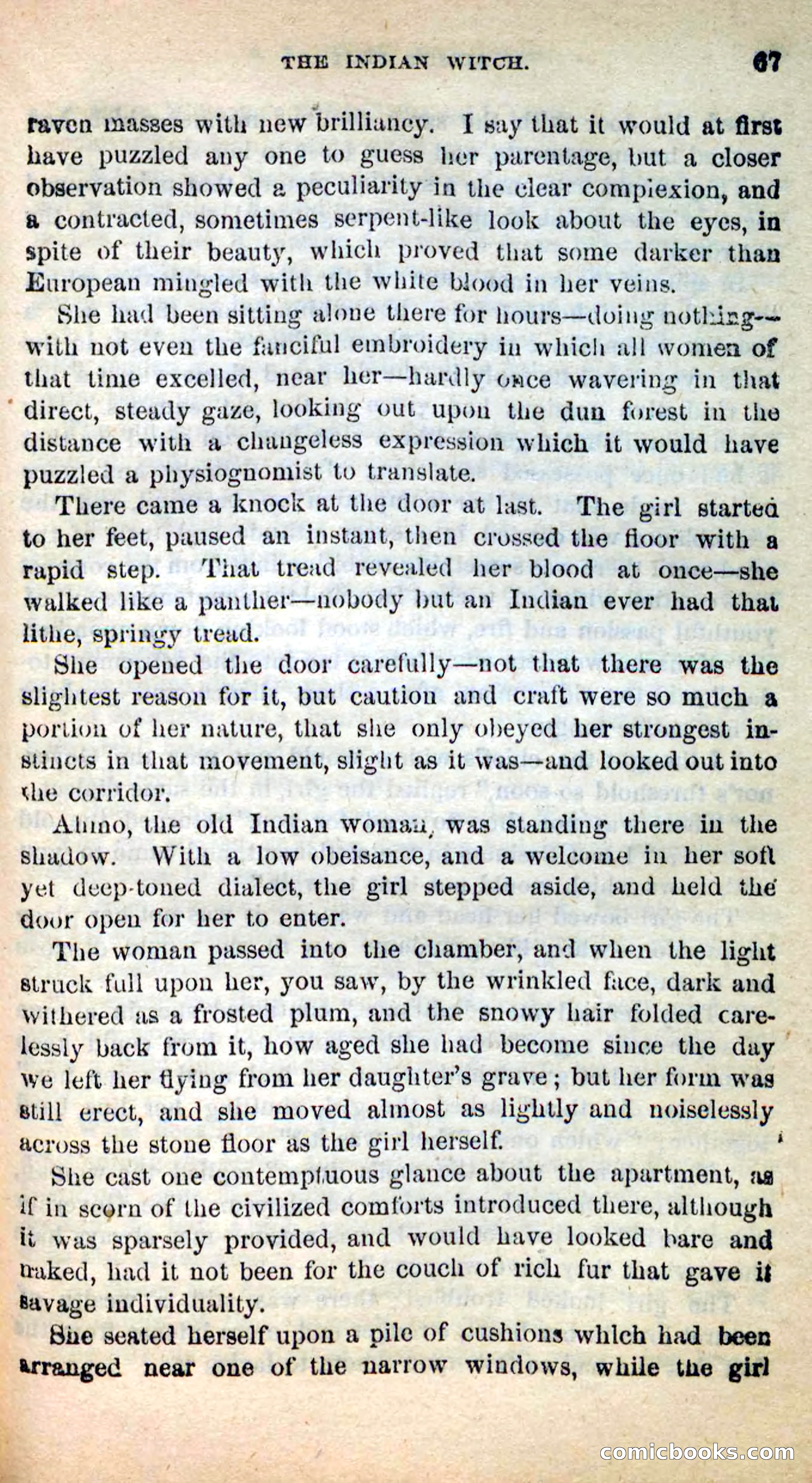 Beadle's New Dime Novels: Ahmo's Plot — page 67 of 133