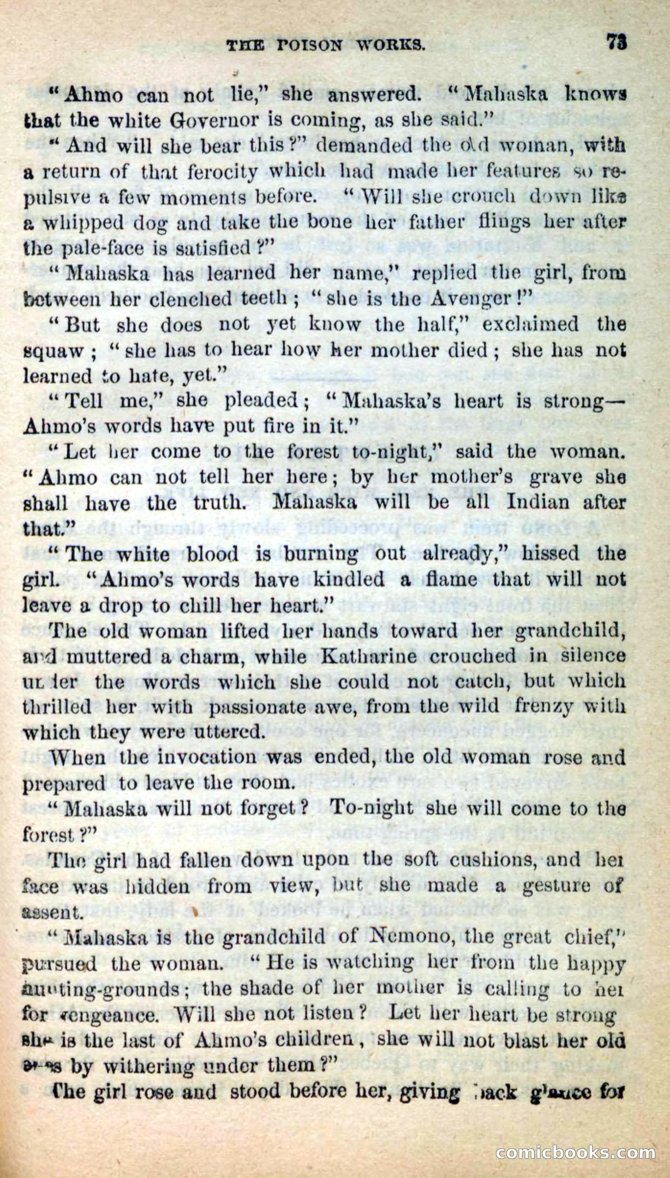 Beadle's New Dime Novels: Ahmo's Plot — page 73 of 133