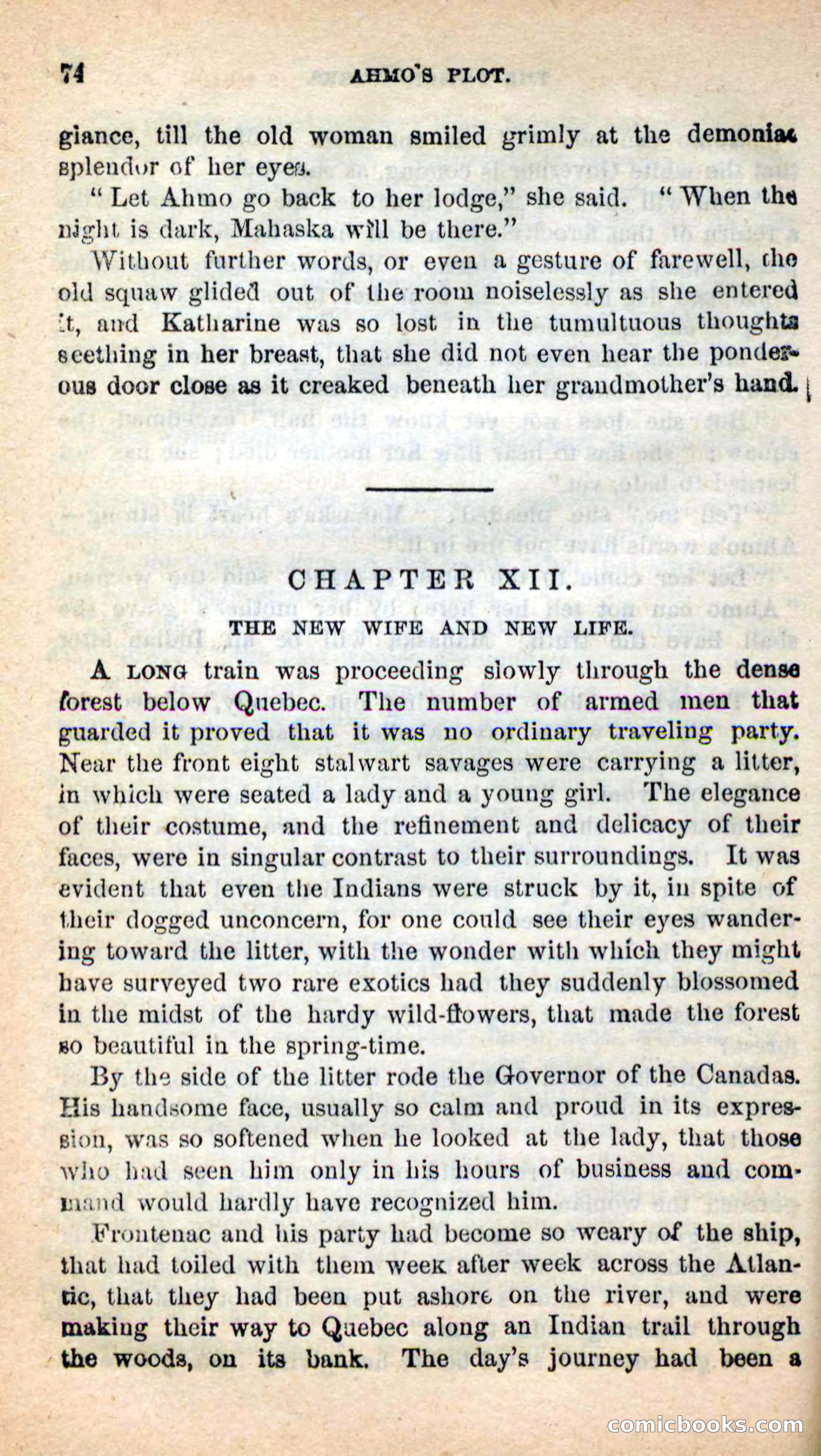 Beadle's New Dime Novels: Ahmo's Plot — page 74 of 133