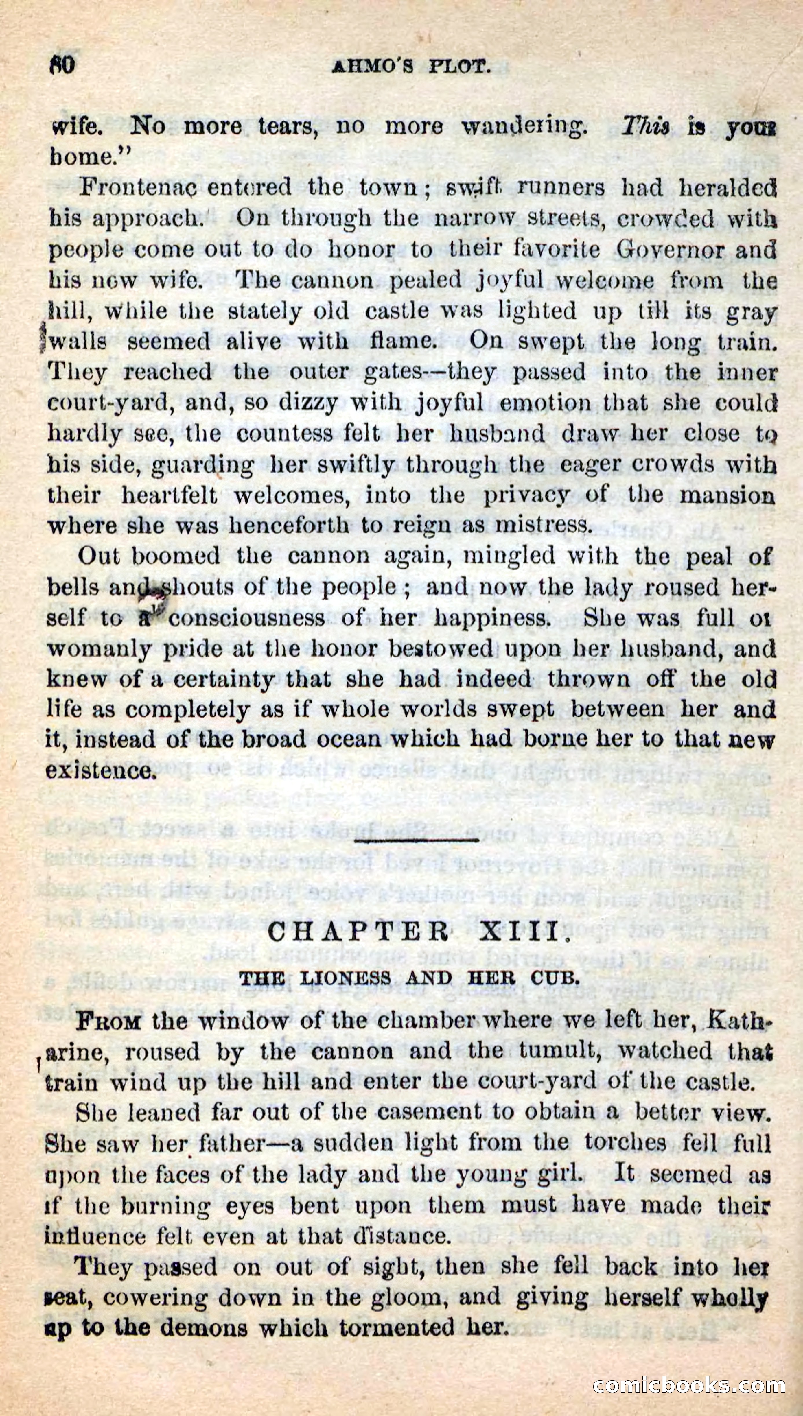 Beadle's New Dime Novels: Ahmo's Plot — page 81 of 133