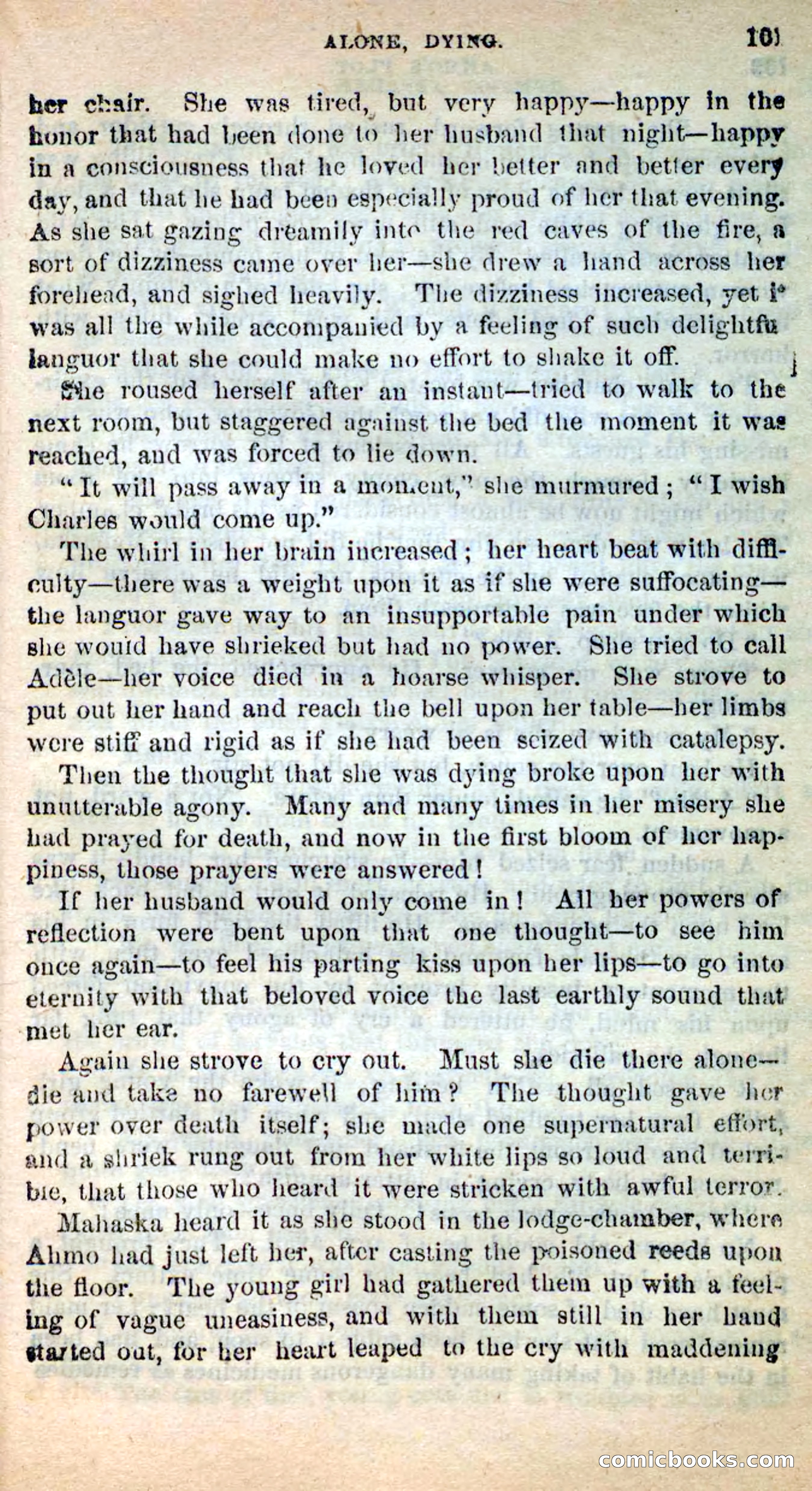 Beadle's New Dime Novels: Ahmo's Plot — page 102 of 133