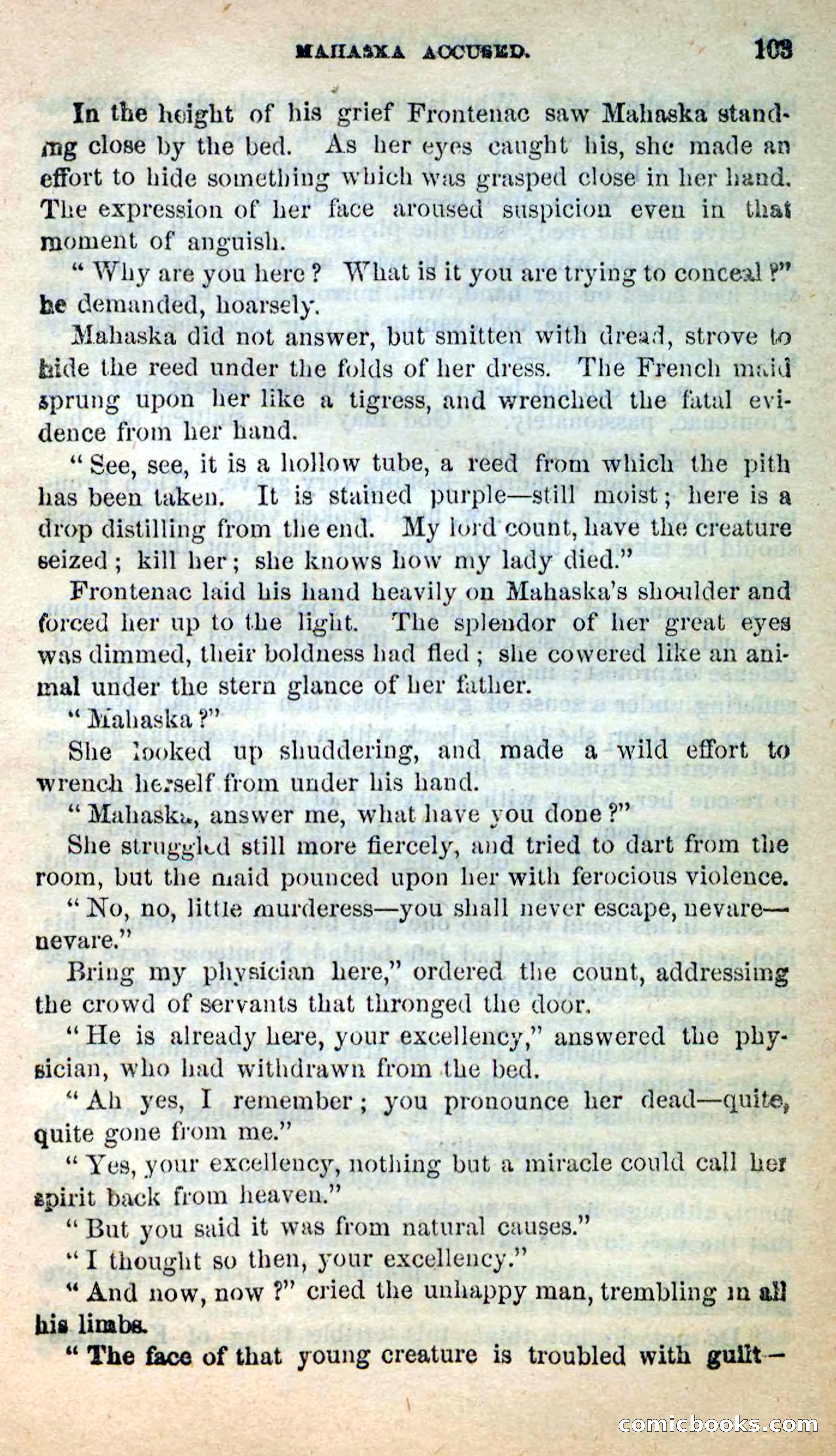 Beadle's New Dime Novels: Ahmo's Plot — page 104 of 133