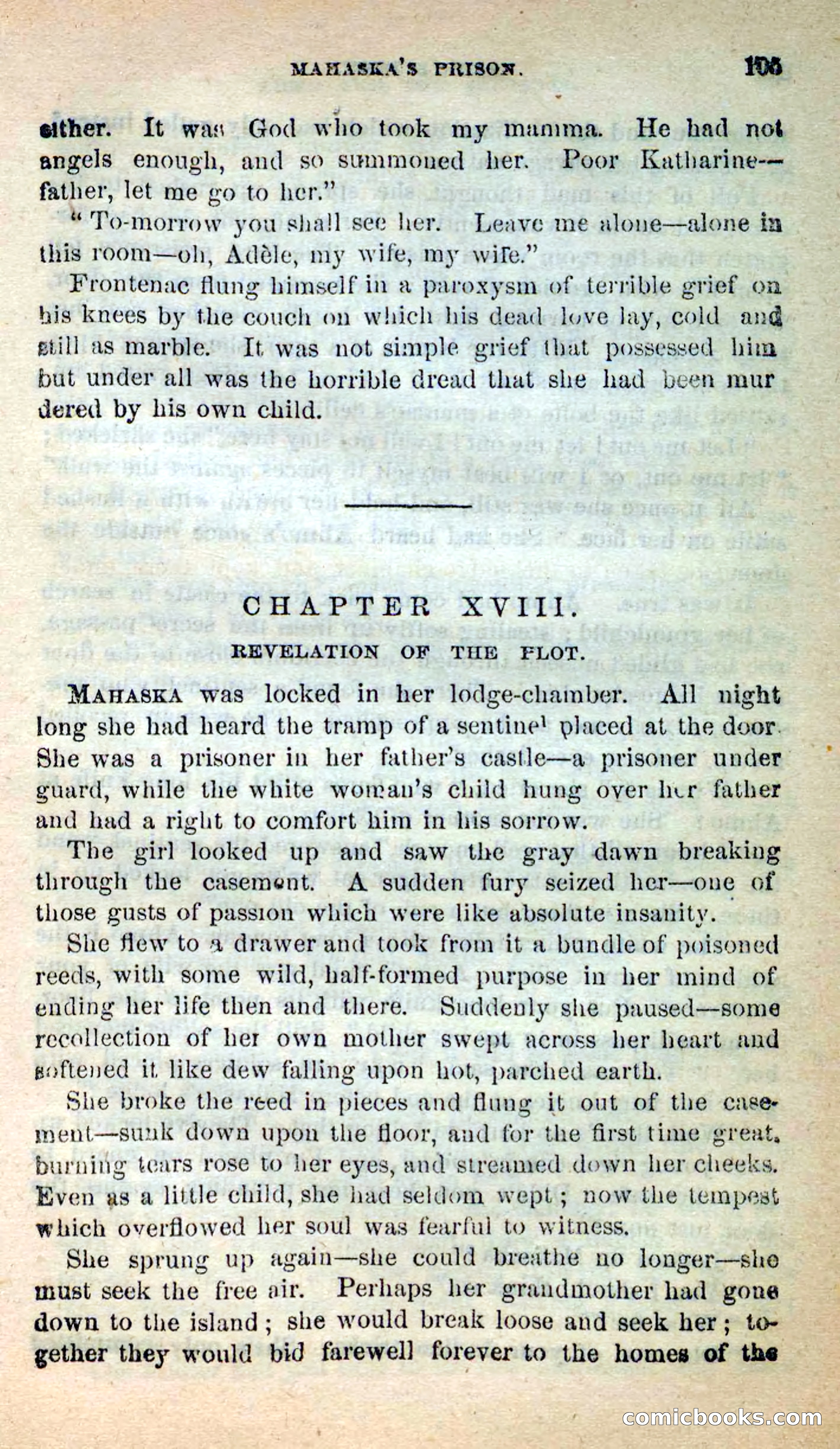 Beadle's New Dime Novels: Ahmo's Plot — page 106 of 133