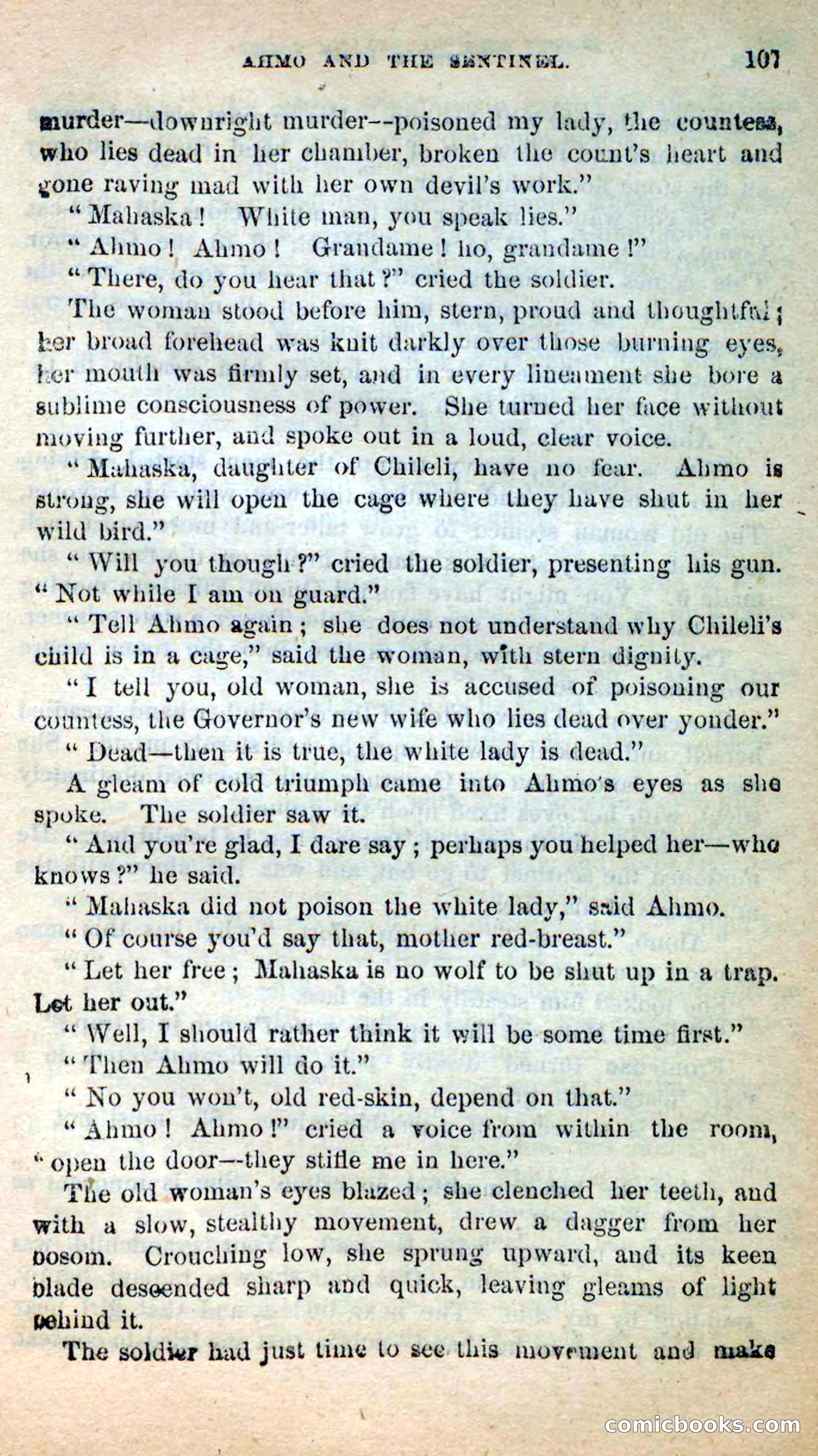 Beadle's New Dime Novels: Ahmo's Plot — page 108 of 133