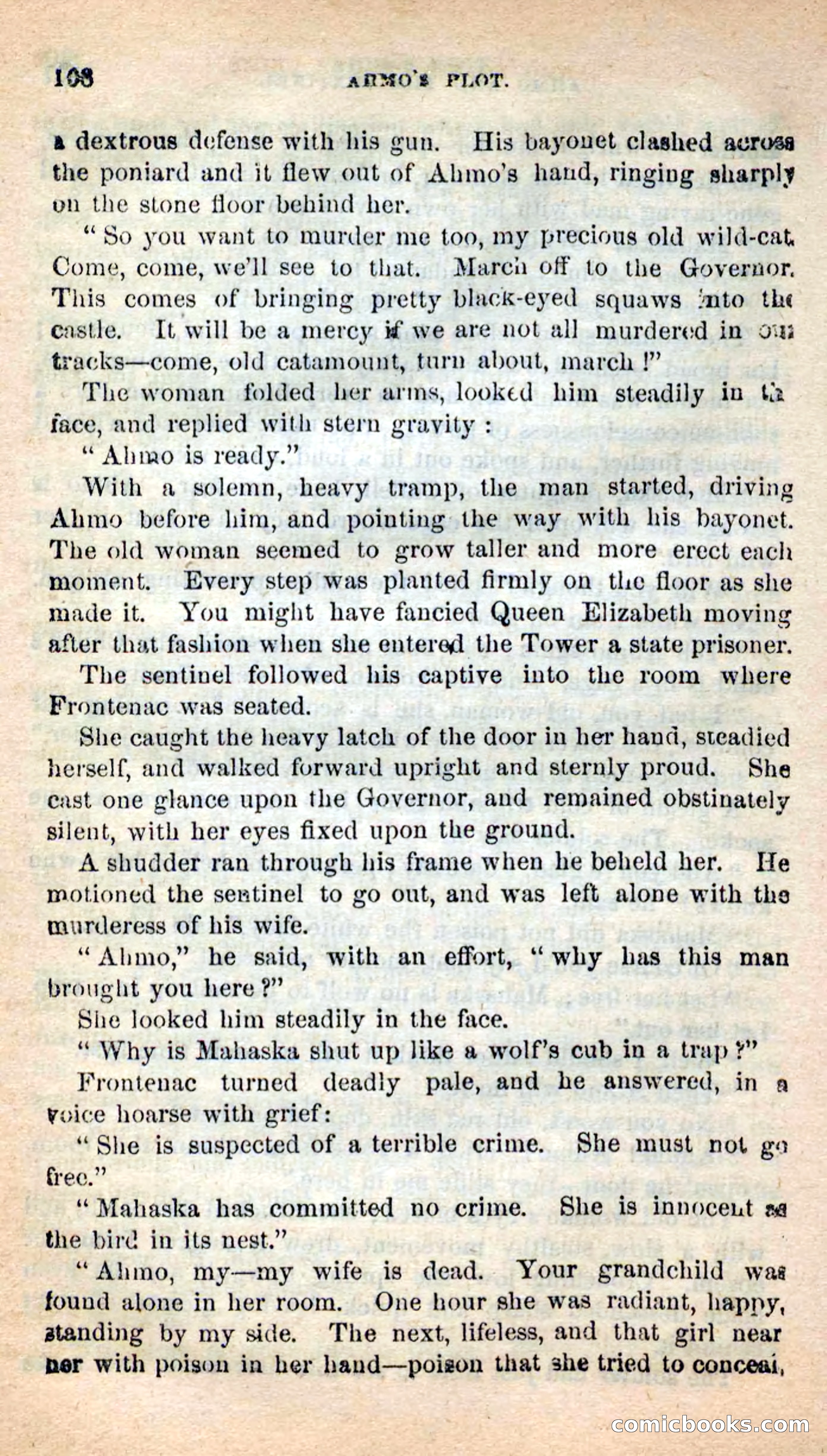 Beadle's New Dime Novels: Ahmo's Plot — page 109 of 133