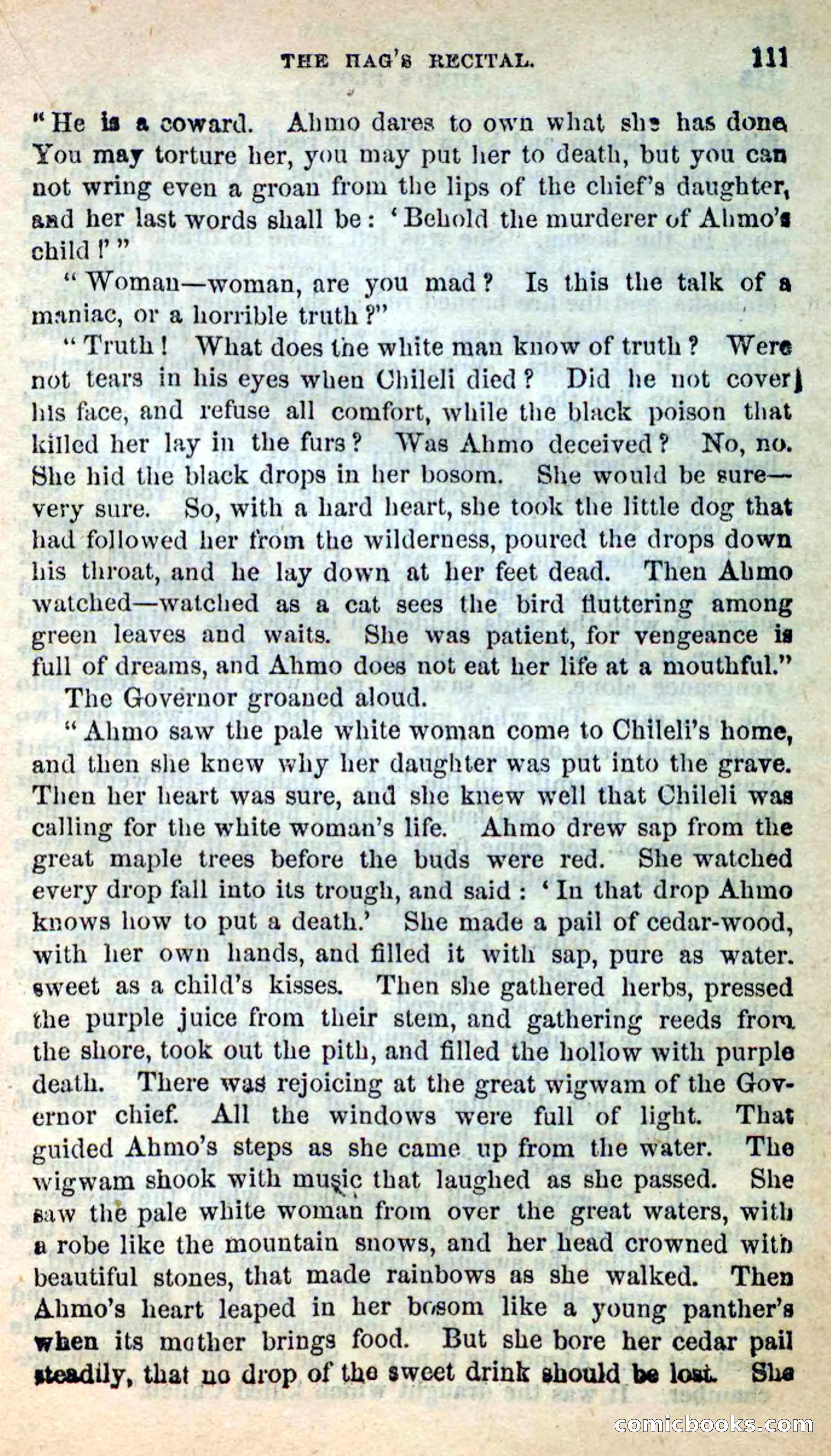 Beadle's New Dime Novels: Ahmo's Plot — page 112 of 133